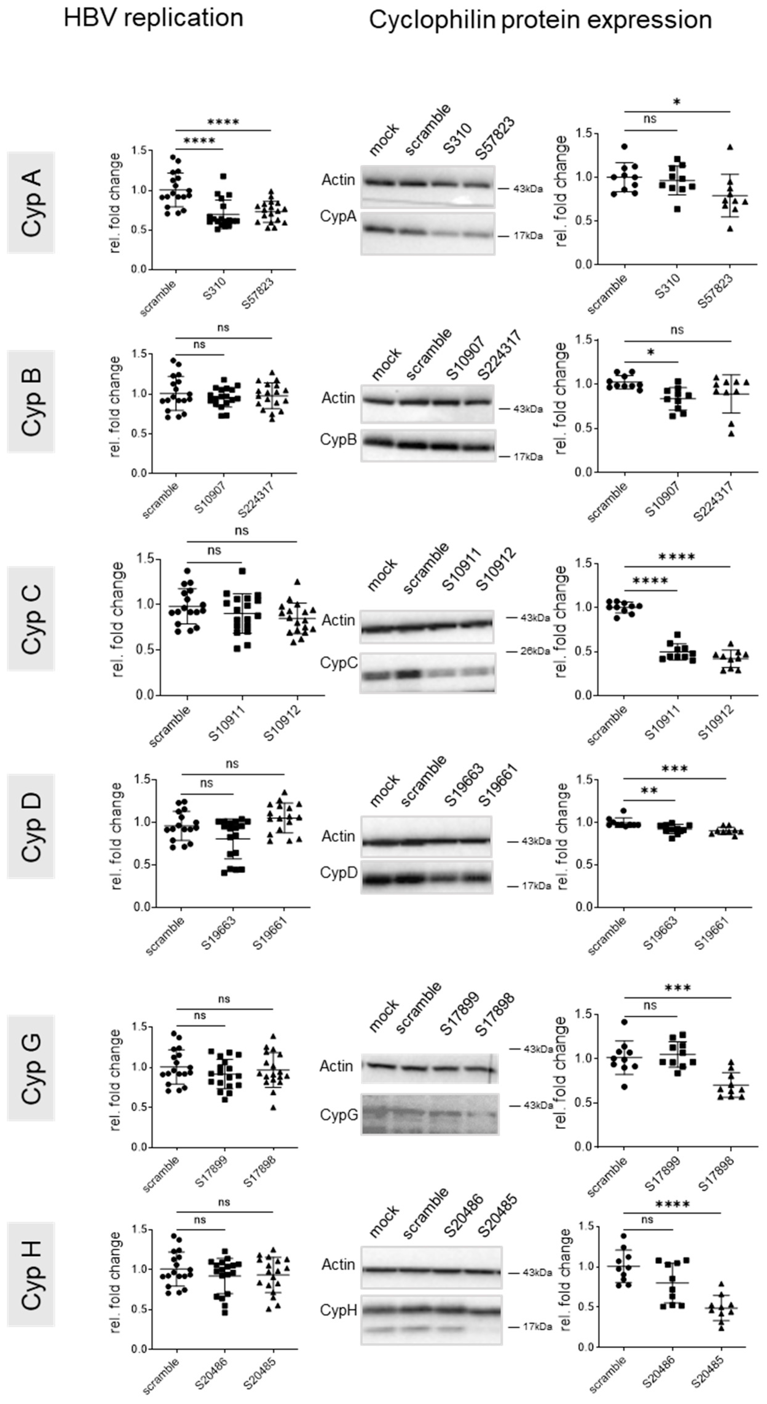 Viruses 17 00011 g006 Viruses 17 00011 g006