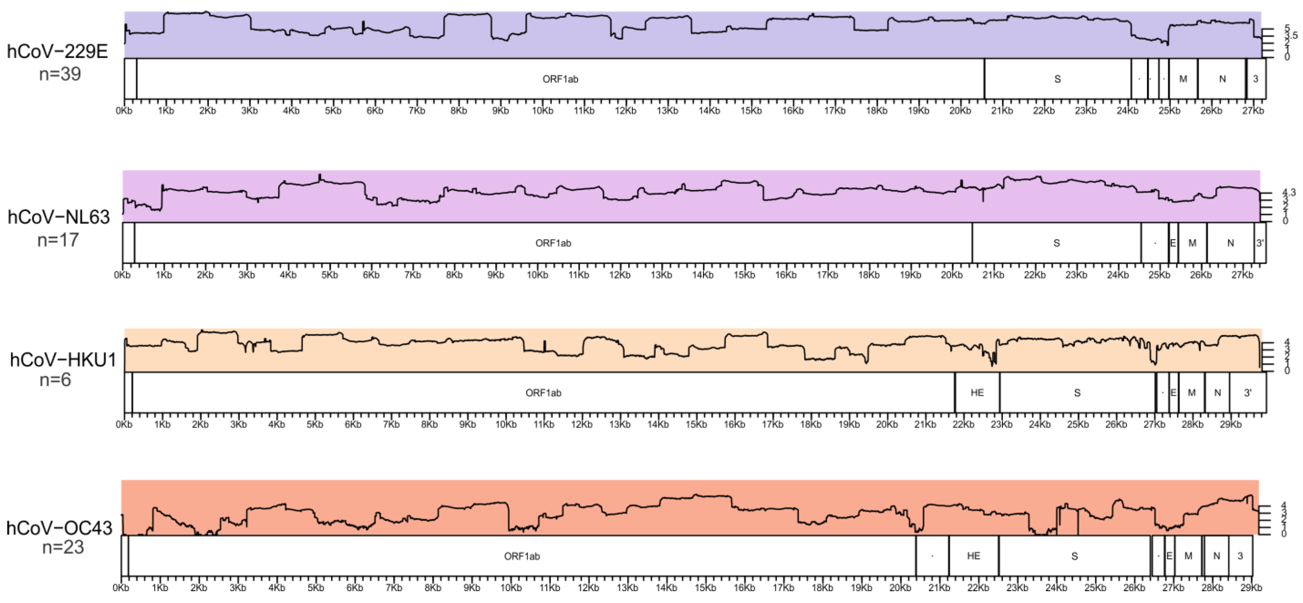 Viruses 17 00013 g002