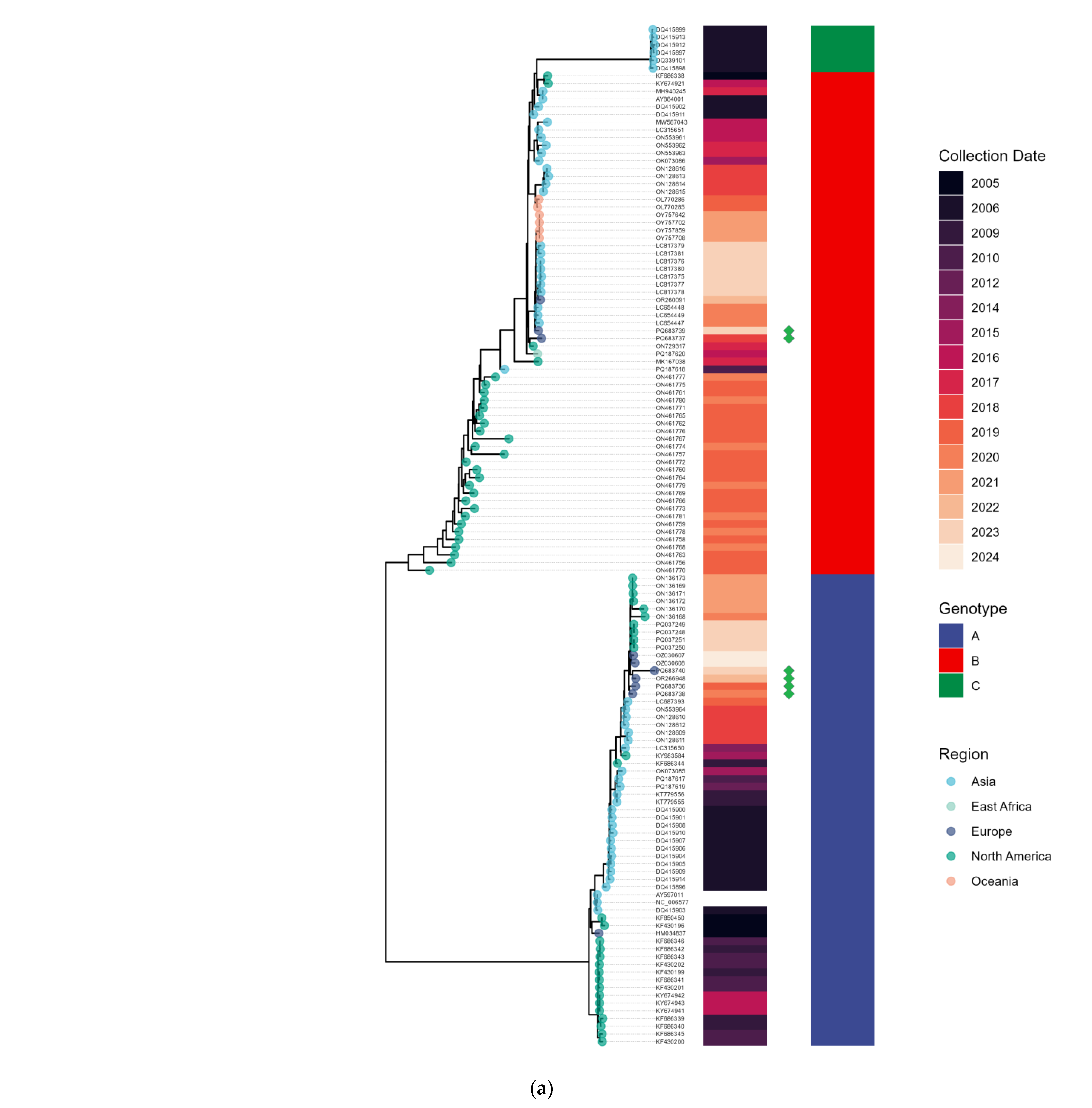 Viruses 17 00013 g005a