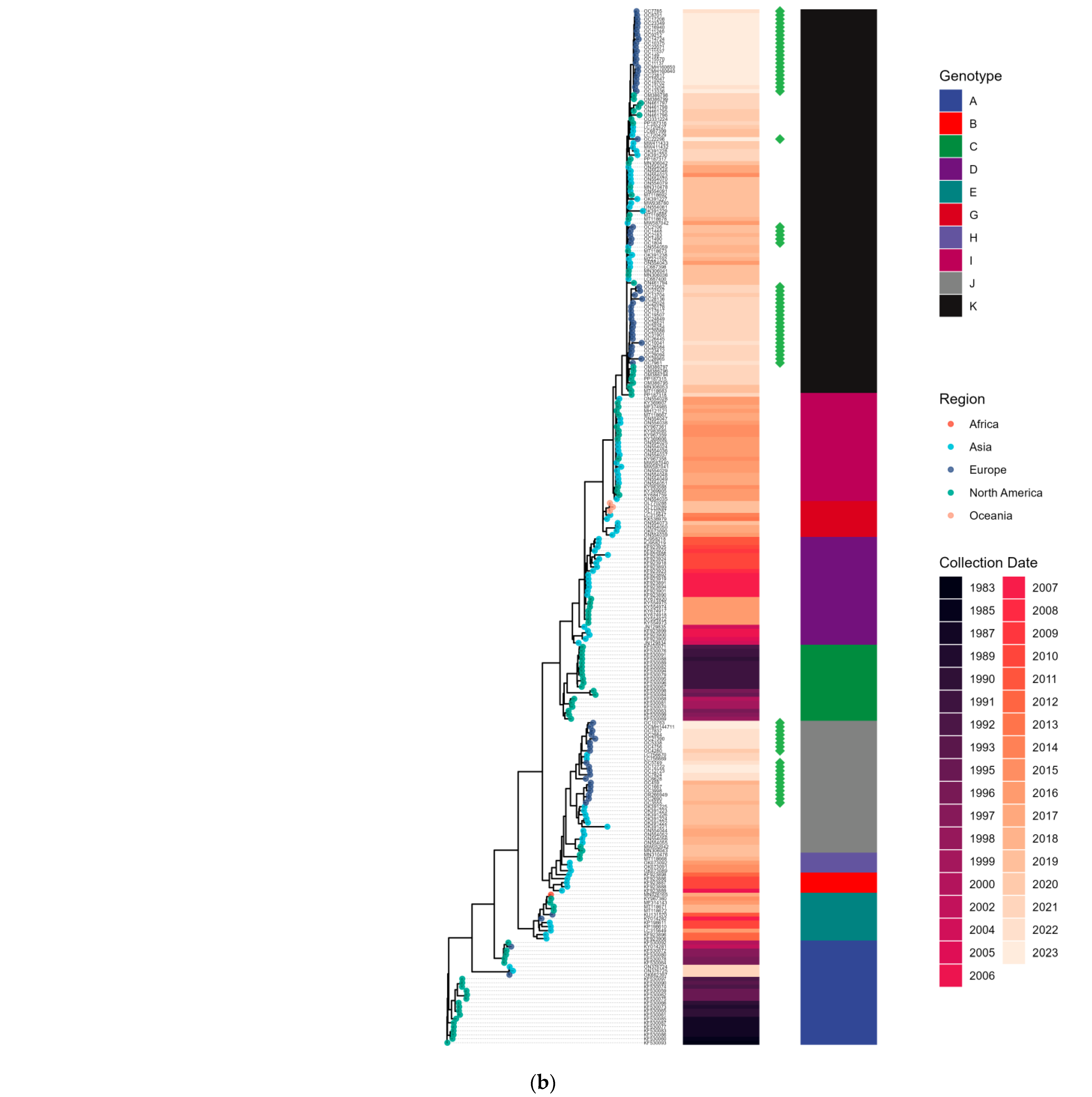 Viruses 17 00013 g005b