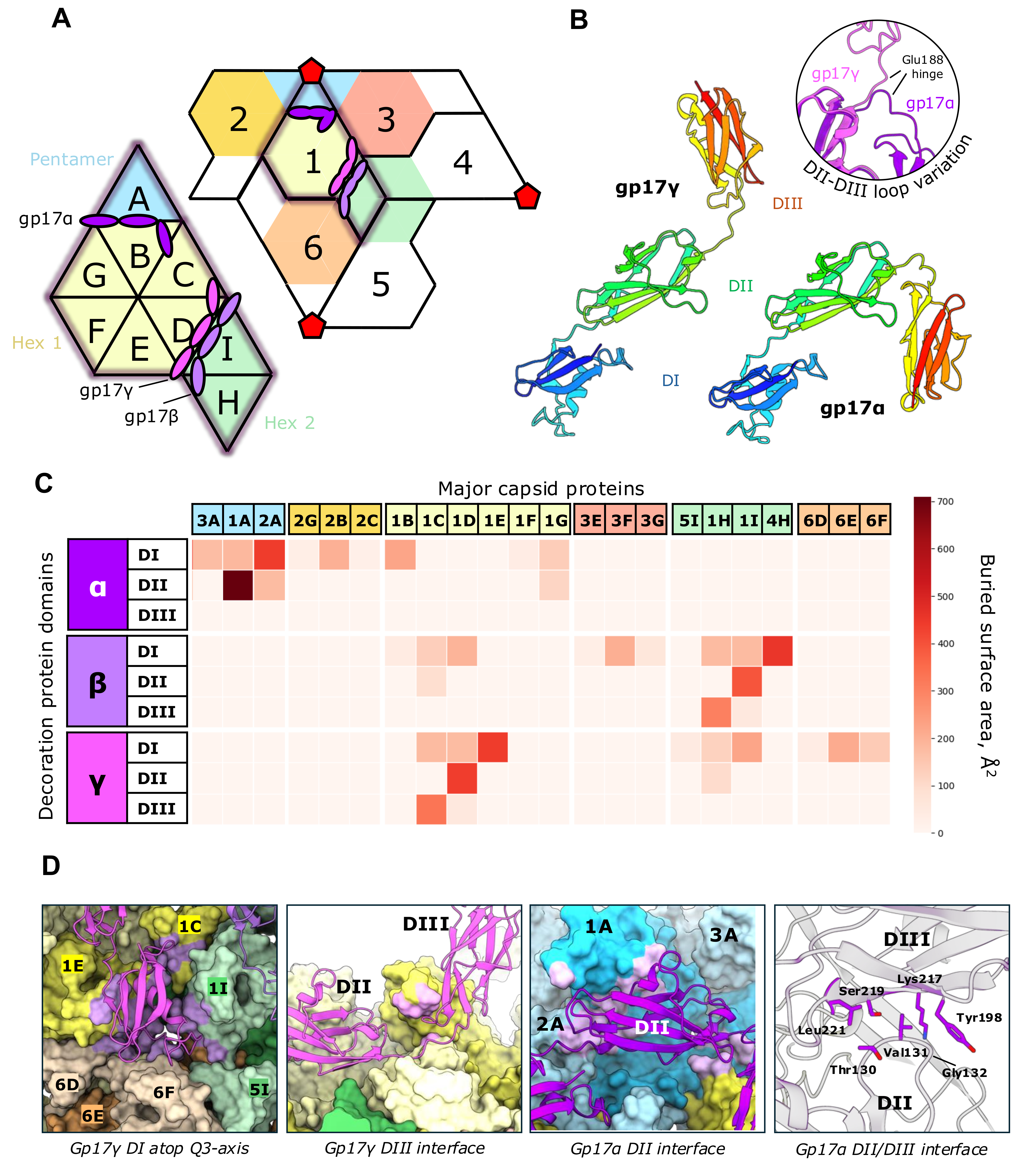 Viruses 17 00019 g002 Viruses 17 00019 g002