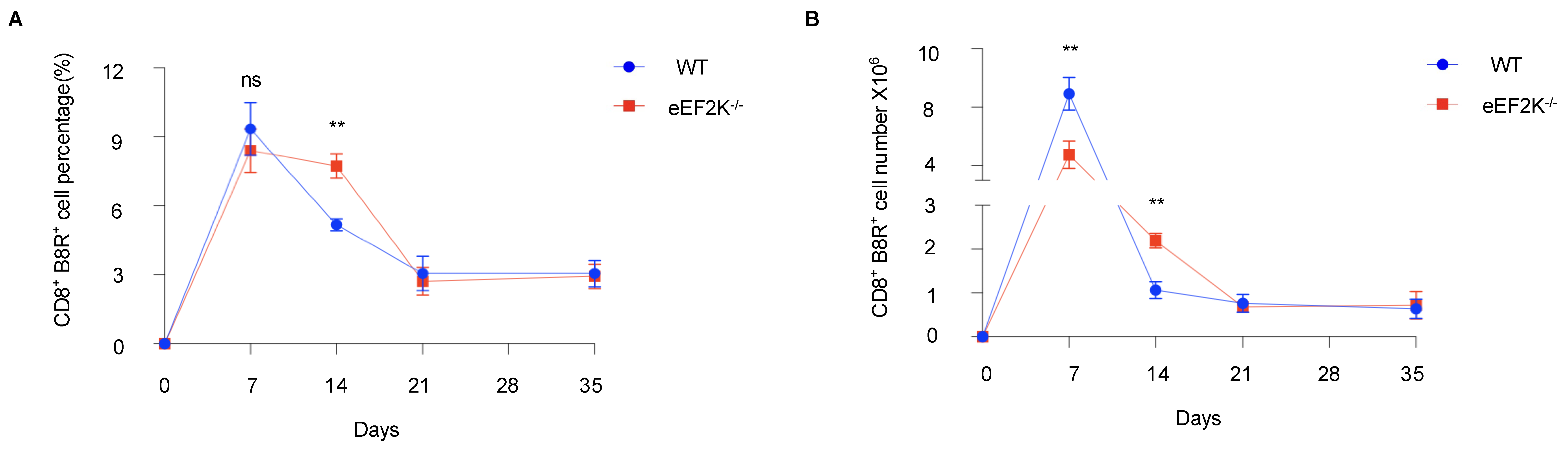 Viruses 17 00026 g002