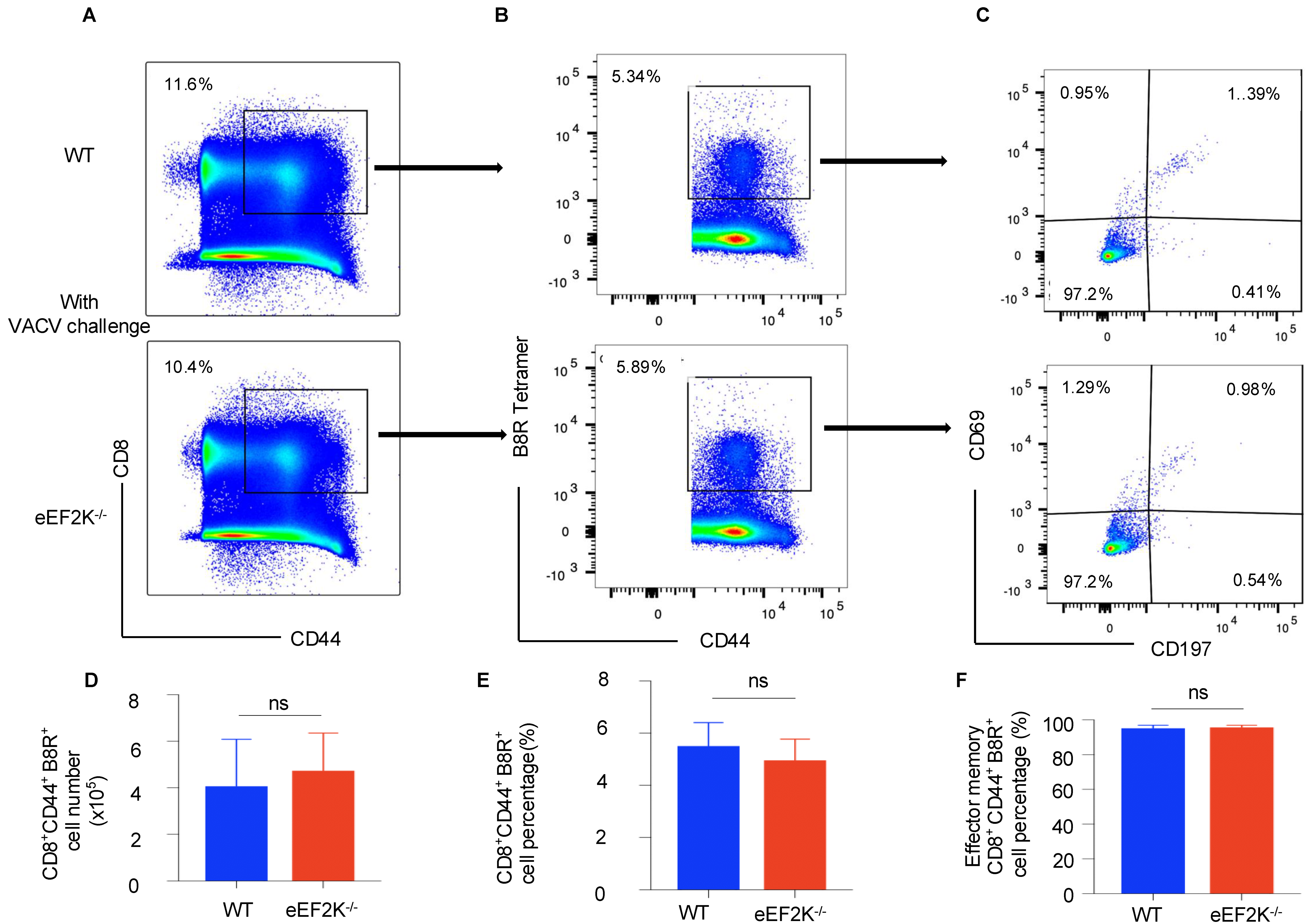 Viruses 17 00026 g003