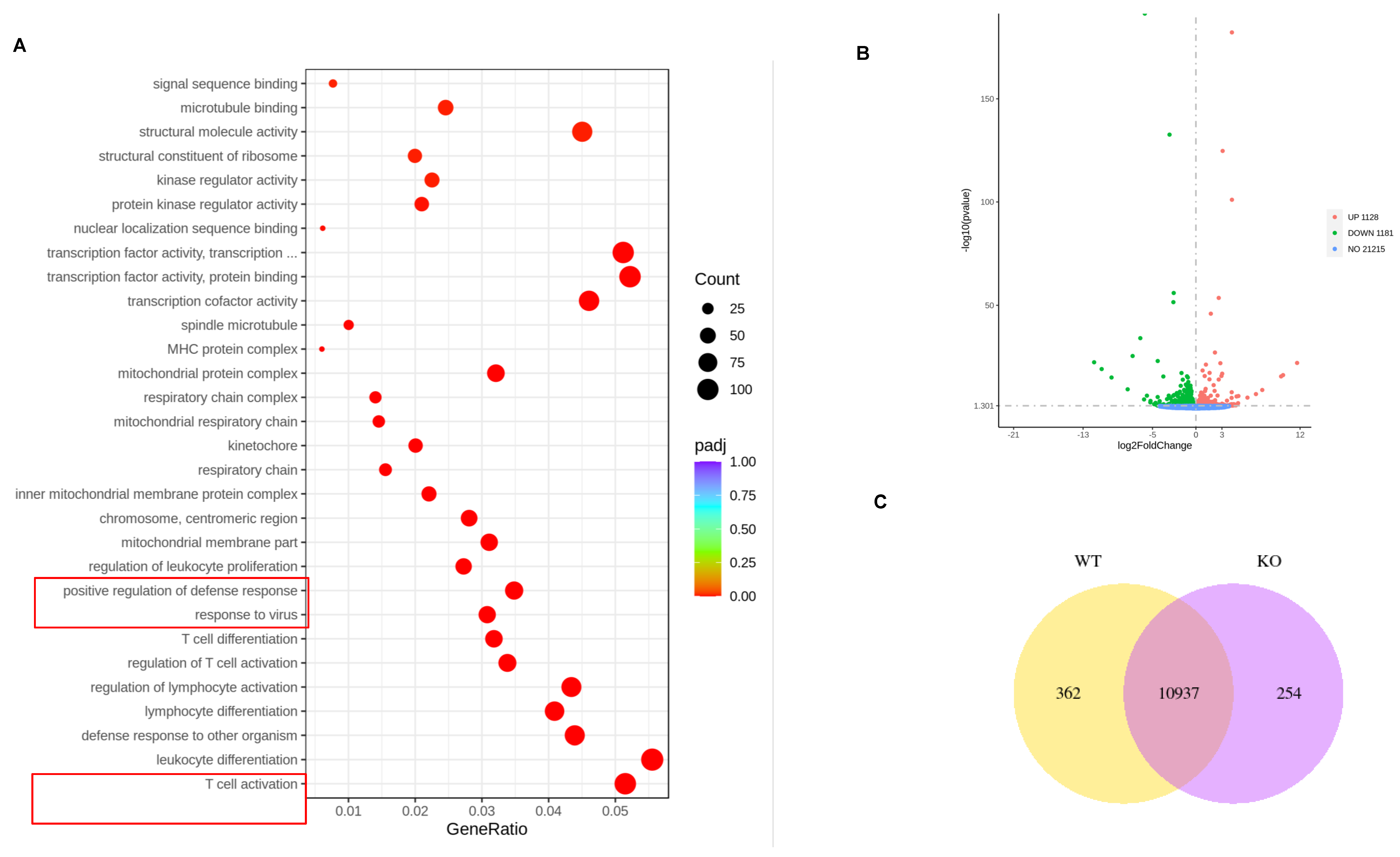 Viruses 17 00026 g004