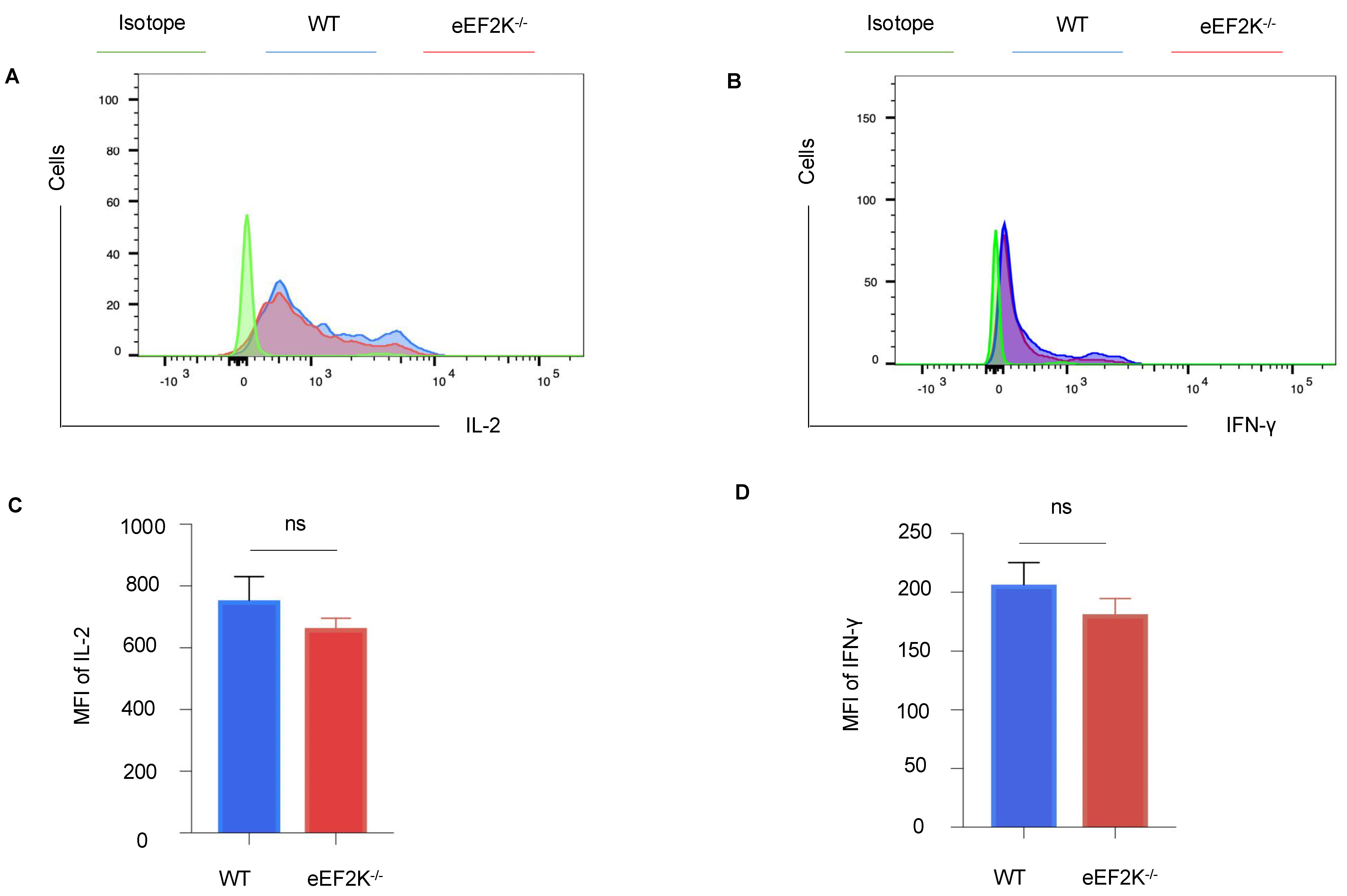 Viruses 17 00026 g005