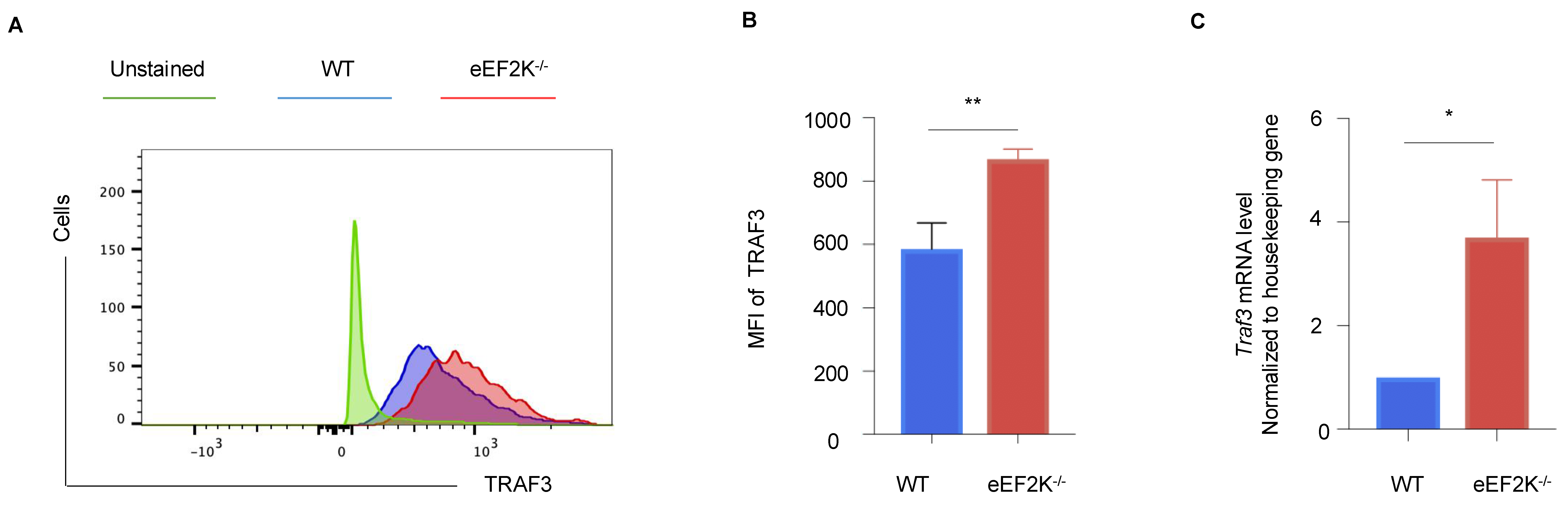 Viruses 17 00026 g006