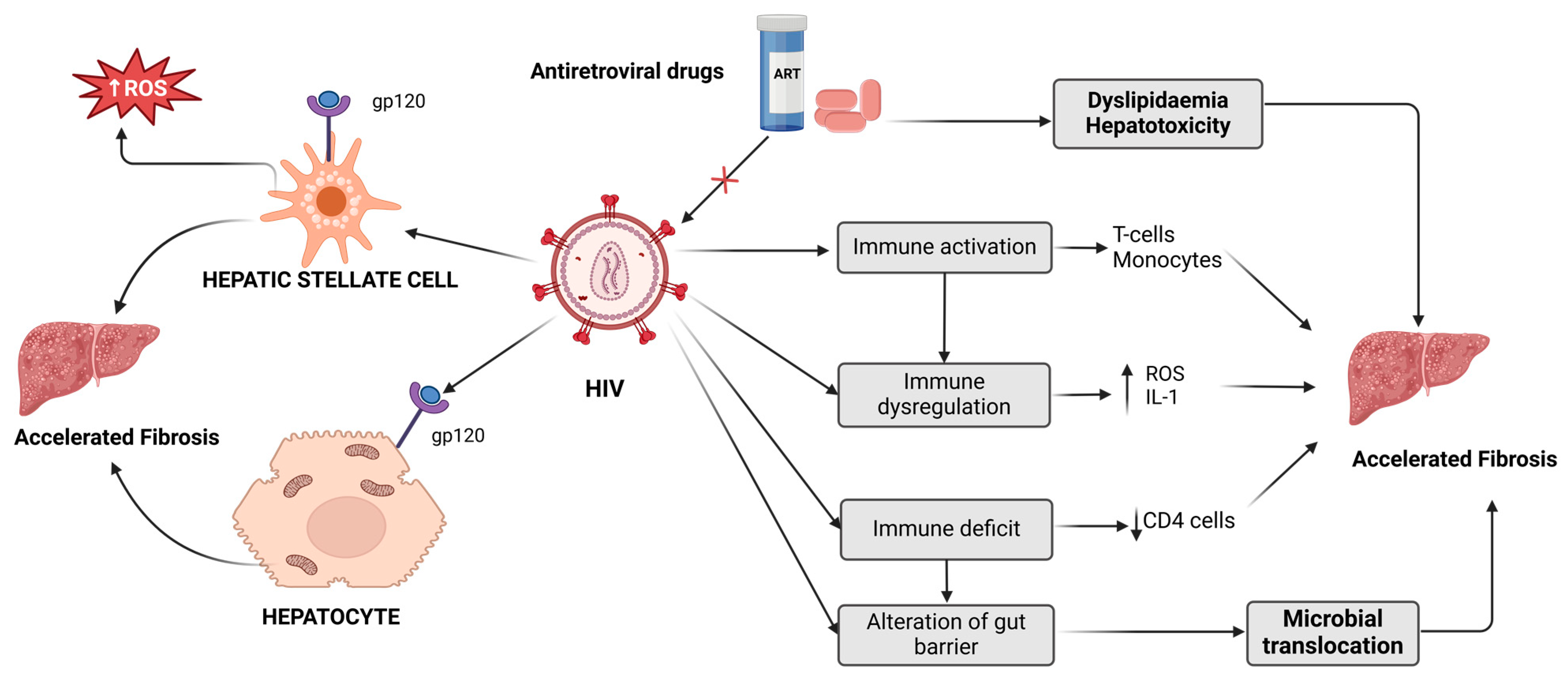 Viruses 17 00028 g002 Viruses 17 00028 g002