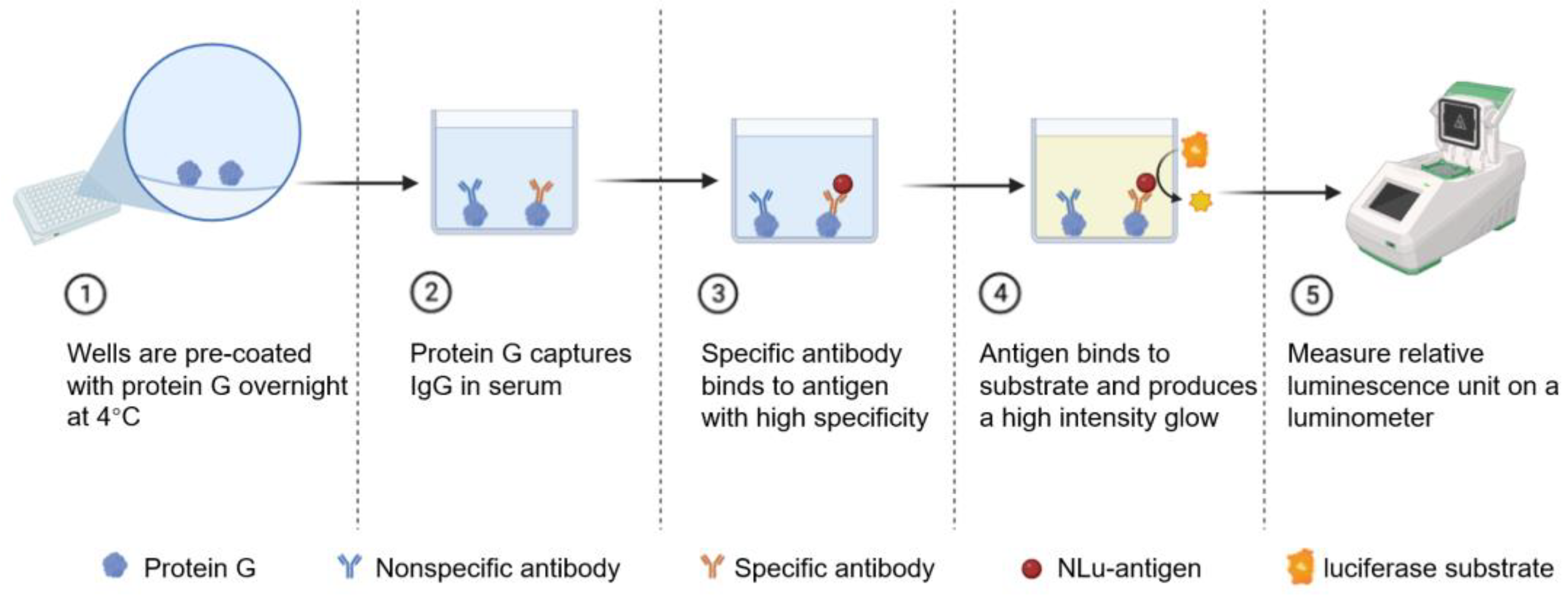 Viruses 17 00032 g001