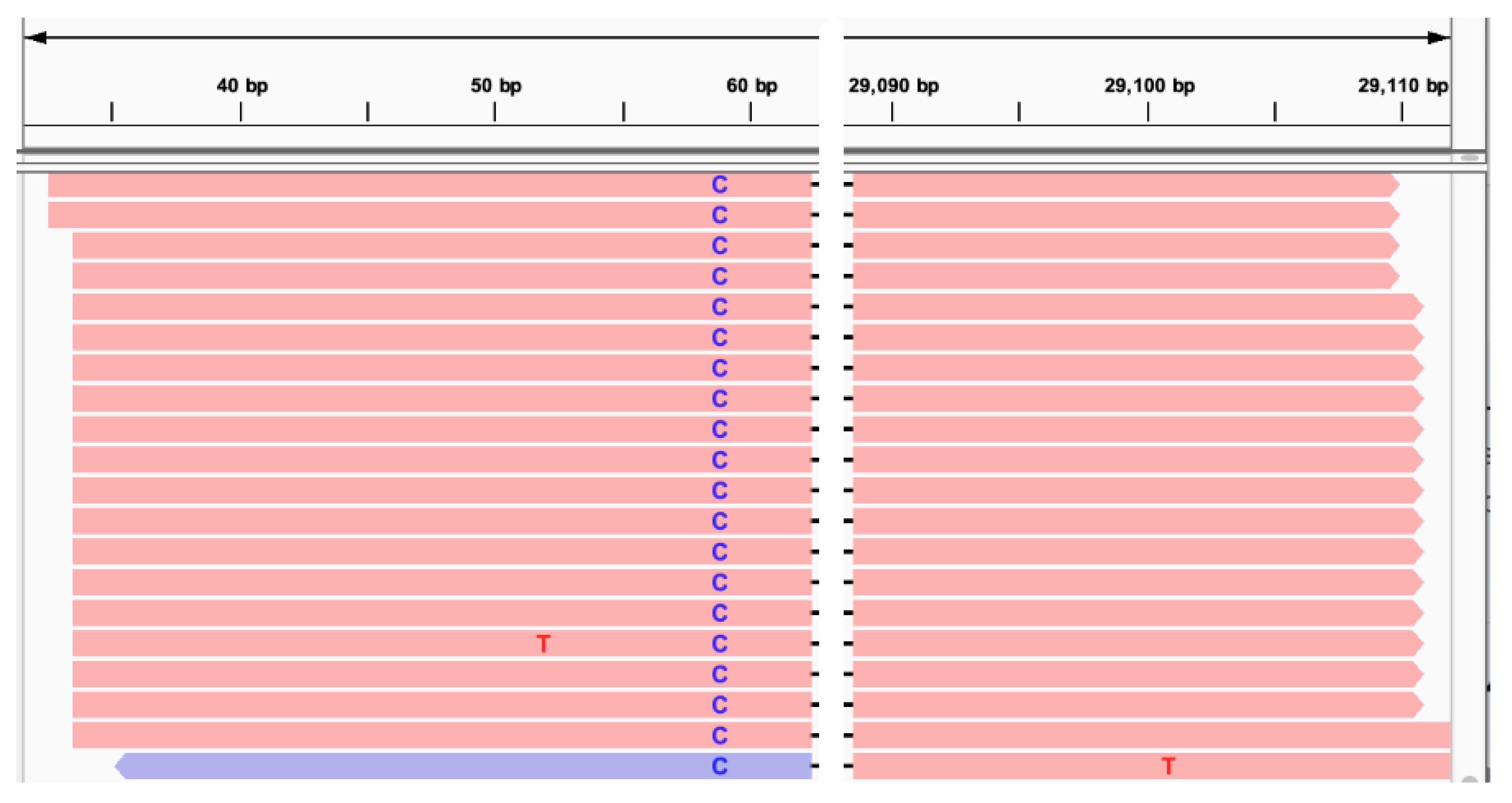 Viruses 17 00036 g003