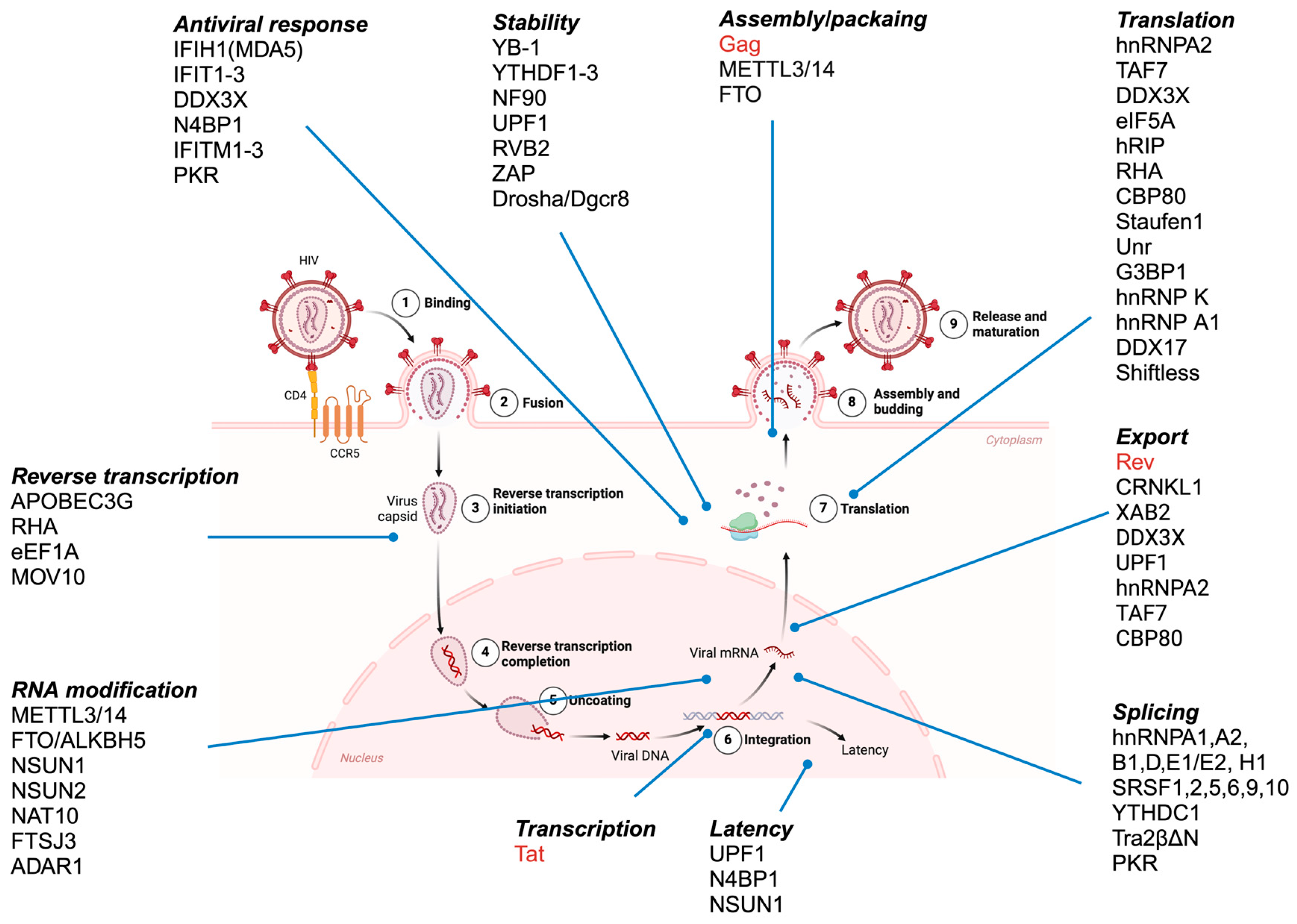 Viruses 17 00043 g001 Viruses 17 00043 g001