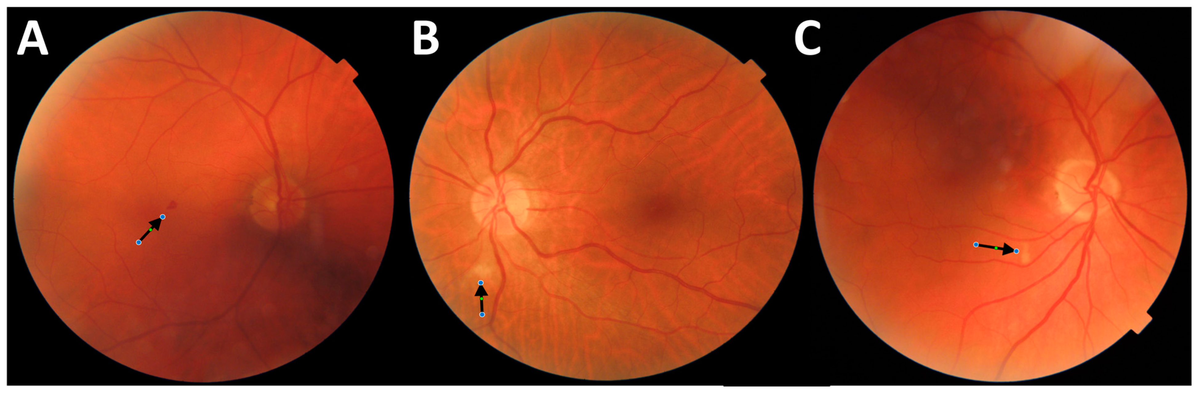 Viruses 17 00047 g001