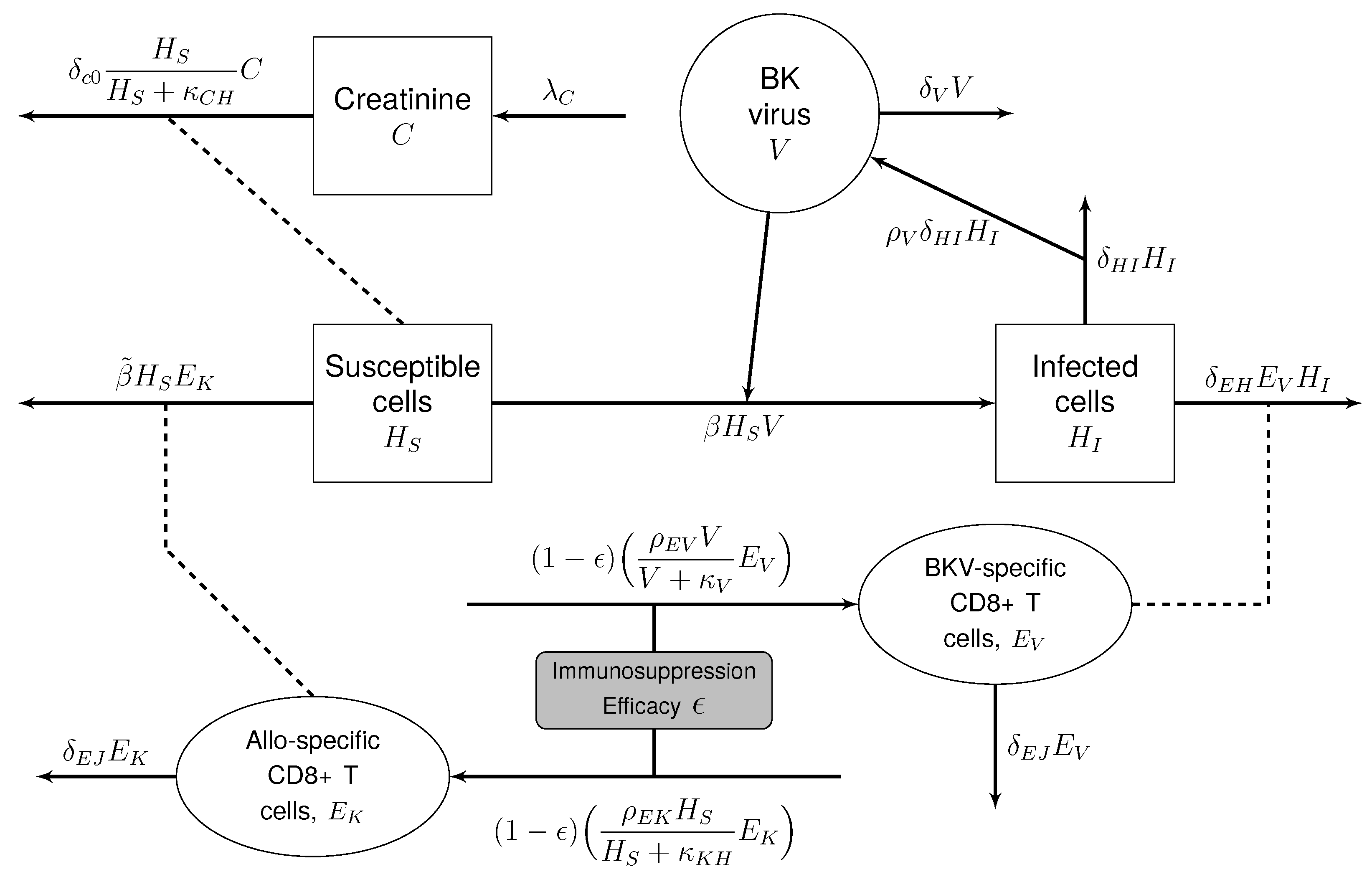 Viruses 17 00050 g001 Viruses 17 00050 g001