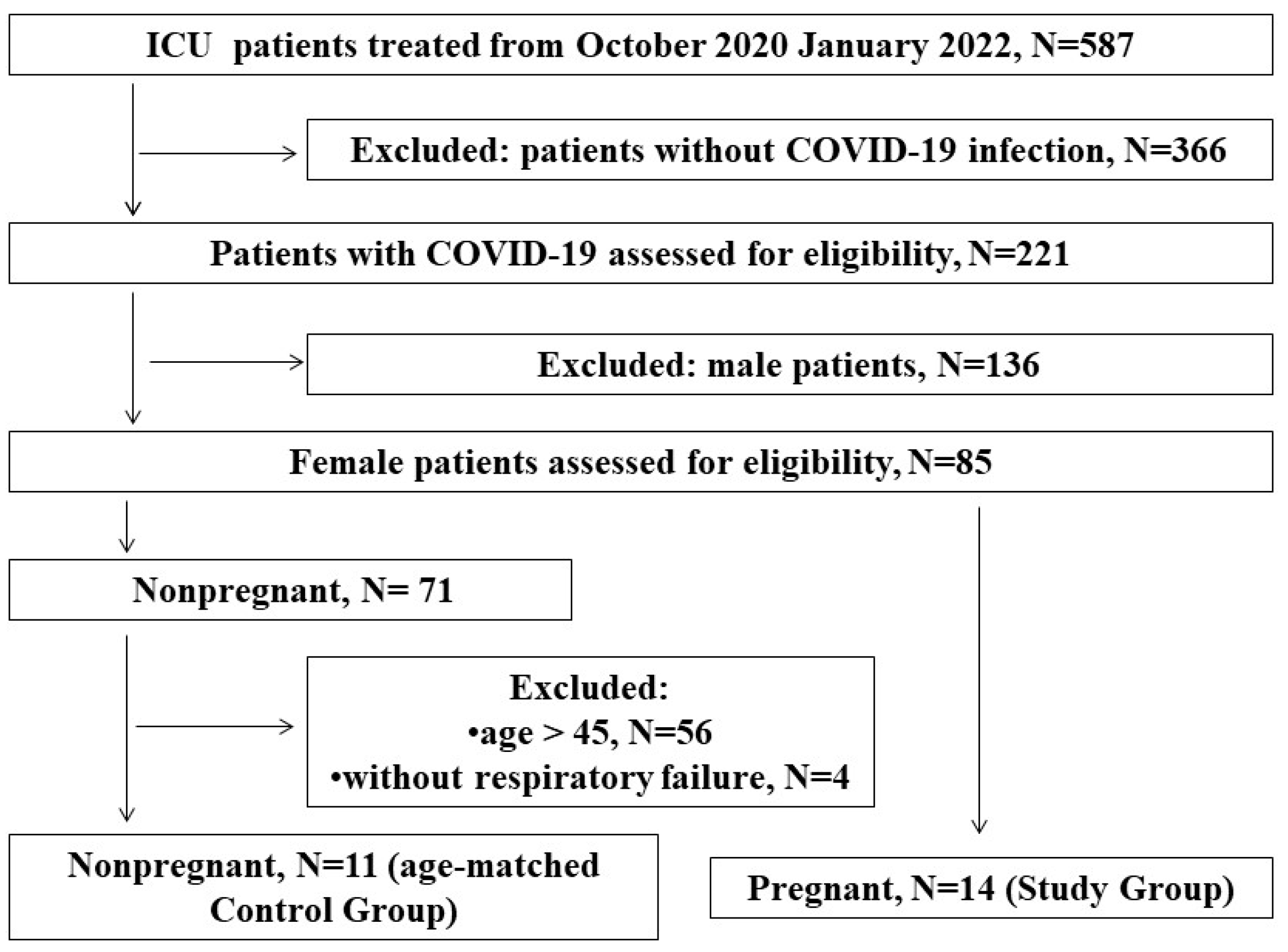 Viruses 17 00051 g001