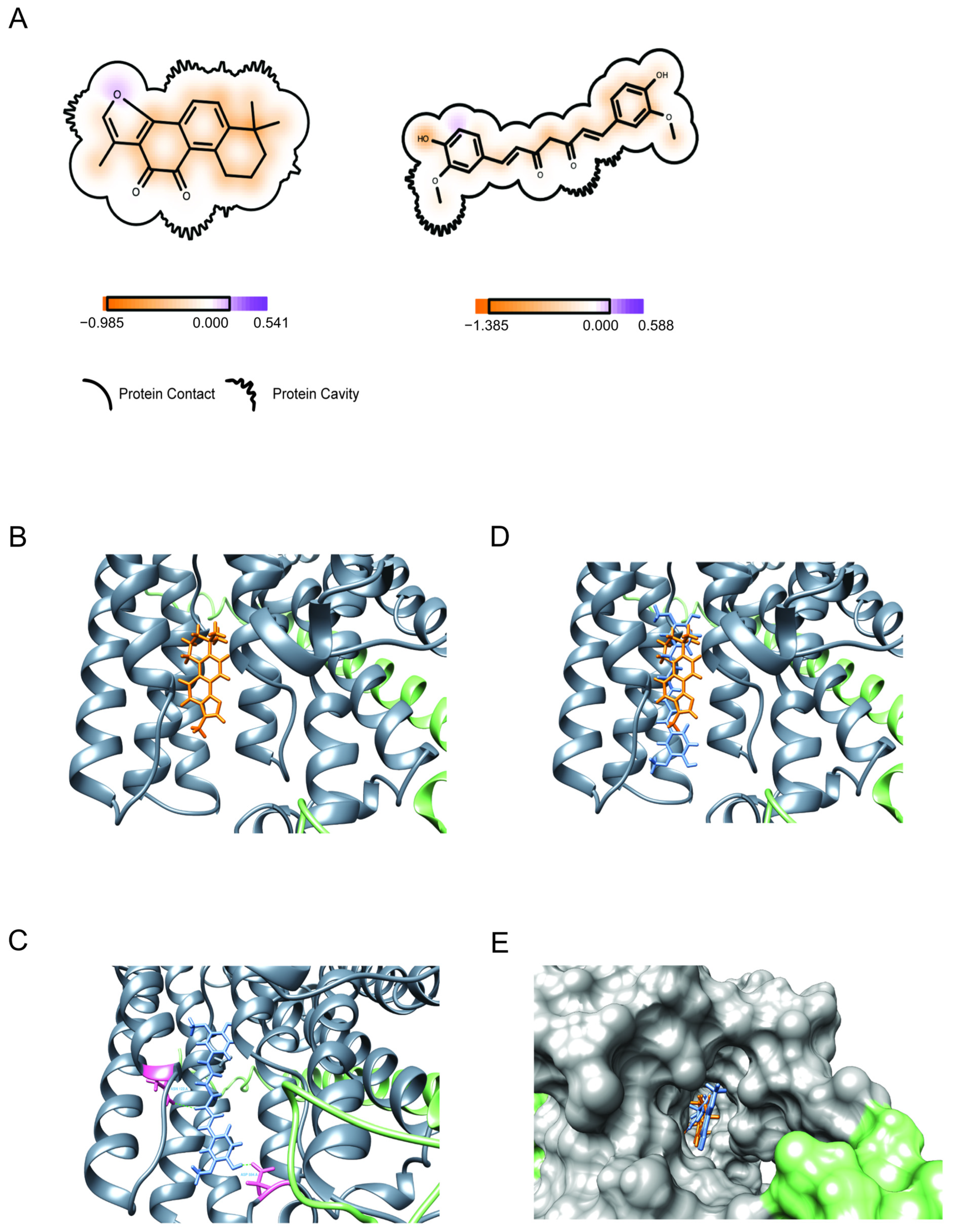 Viruses 17 00055 g006
