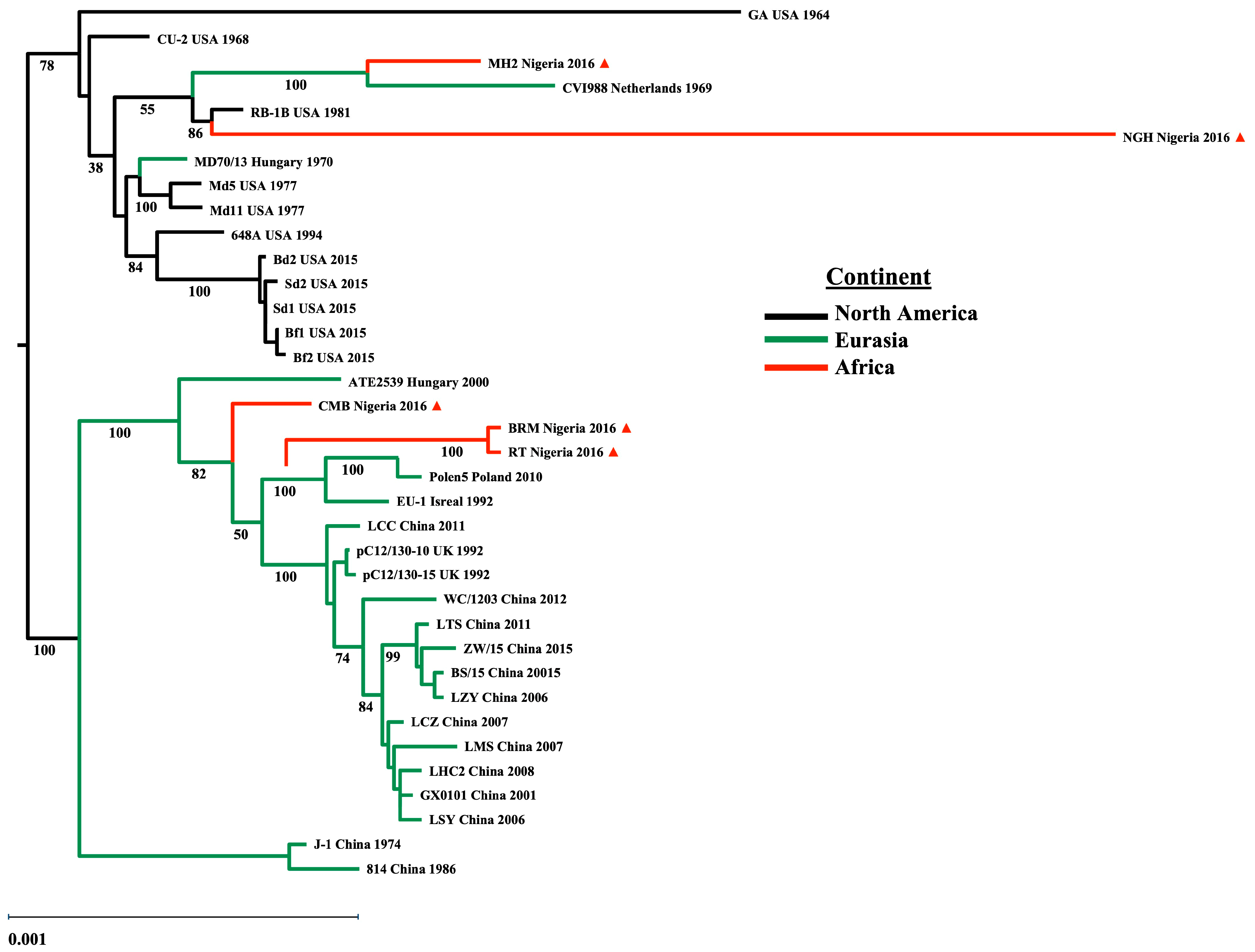 Viruses 17 00056 g002