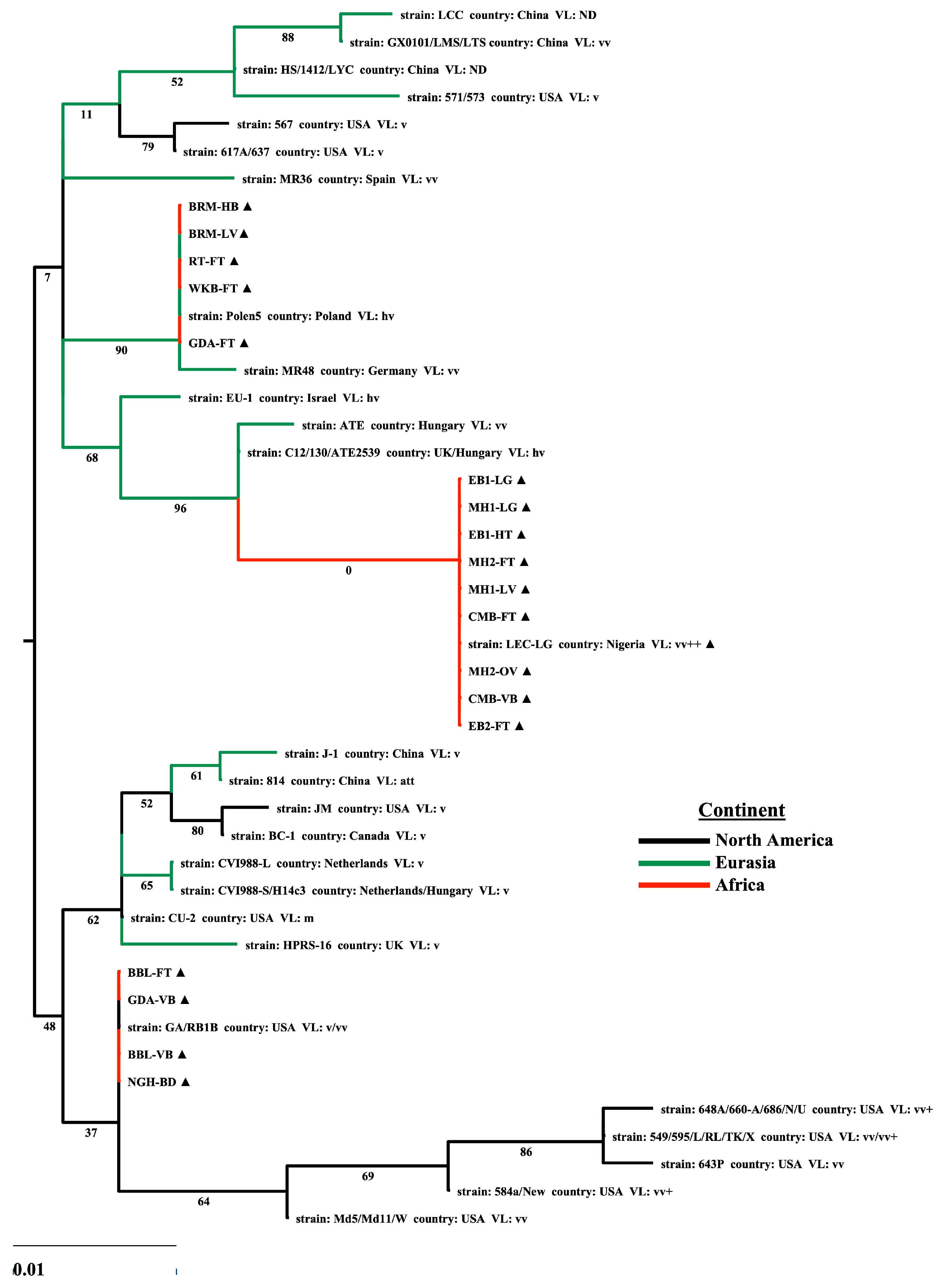 Viruses 17 00056 g003