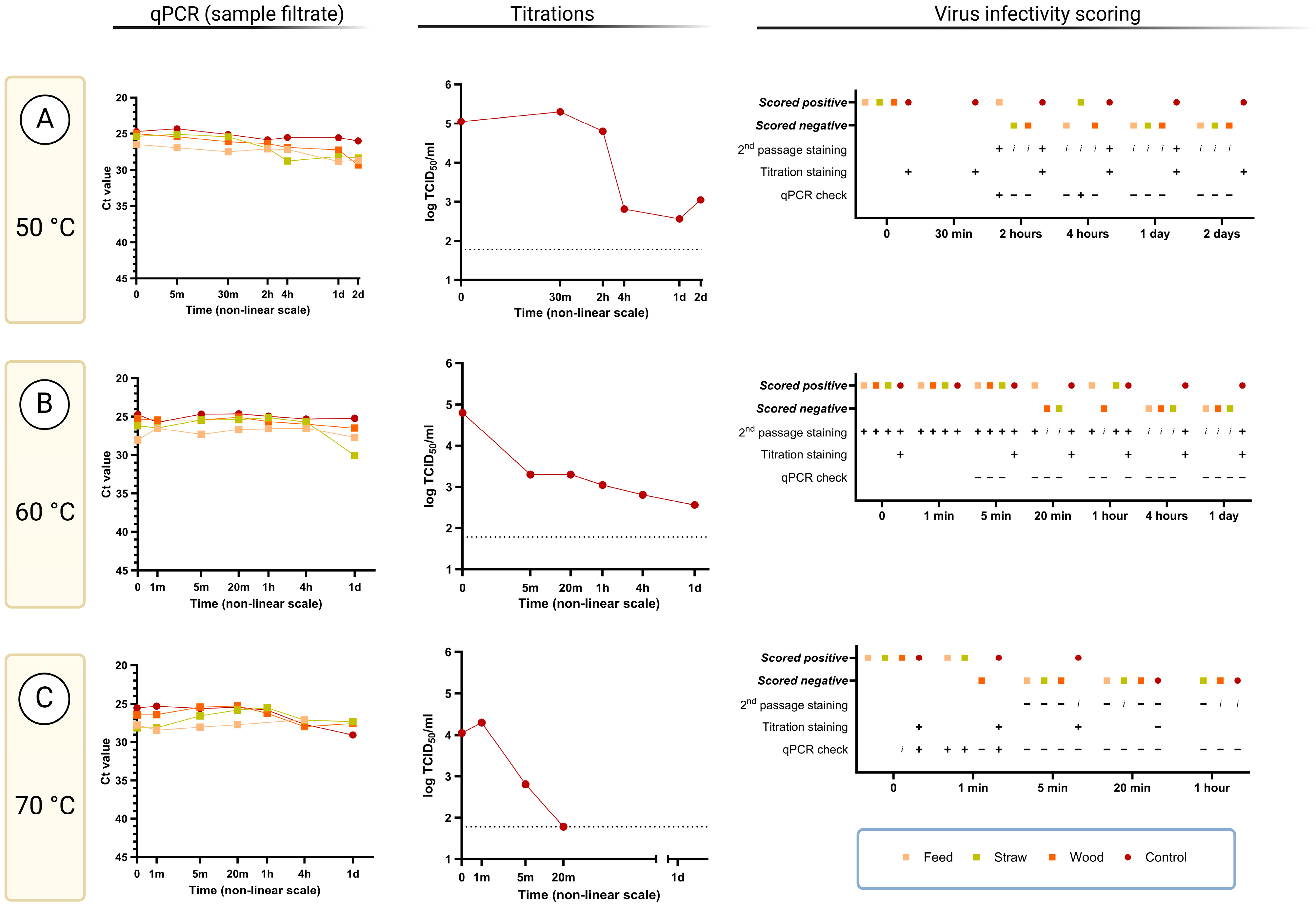 Viruses 17 00063 g003