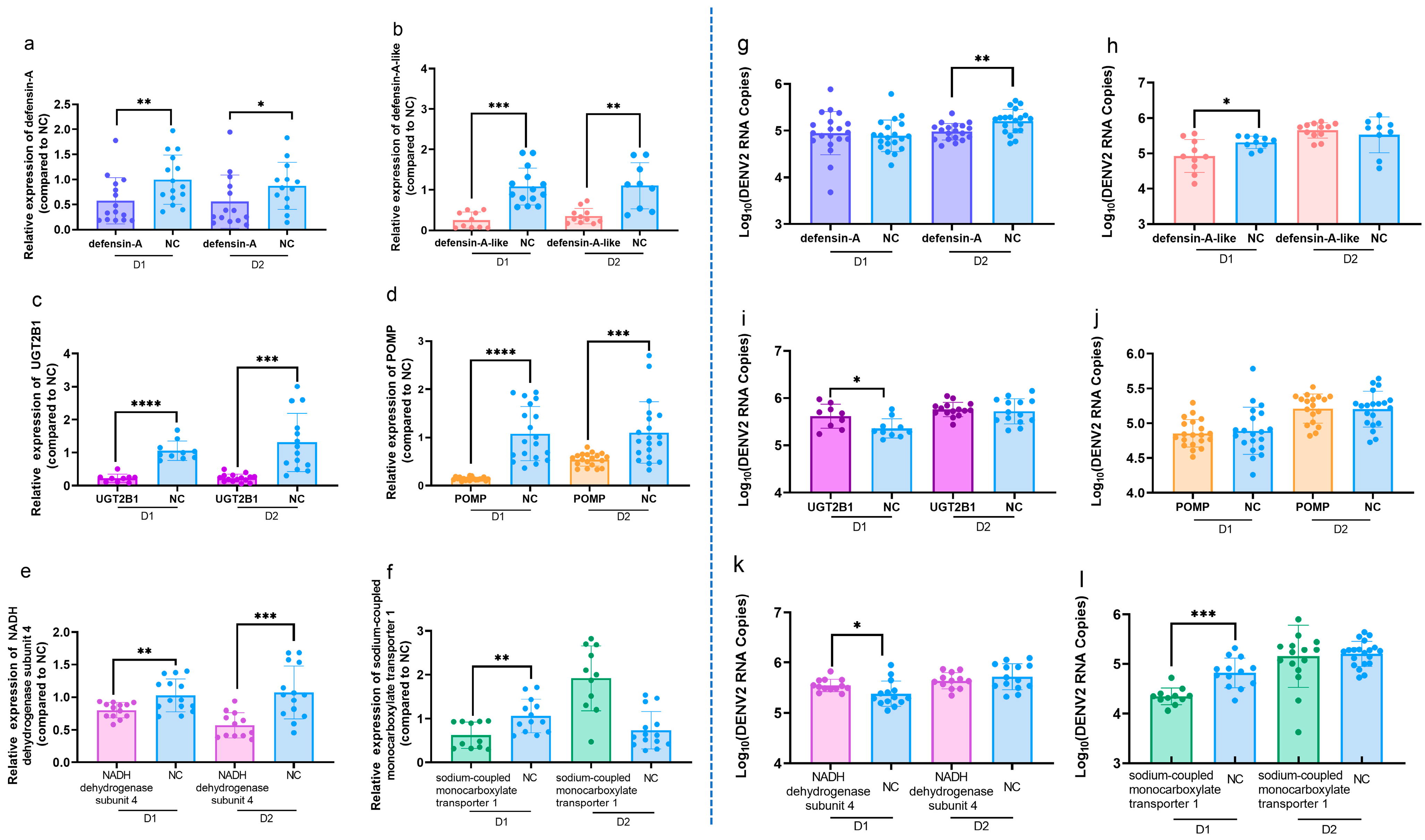 Viruses 17 00067 g005 Viruses 17 00067 g005