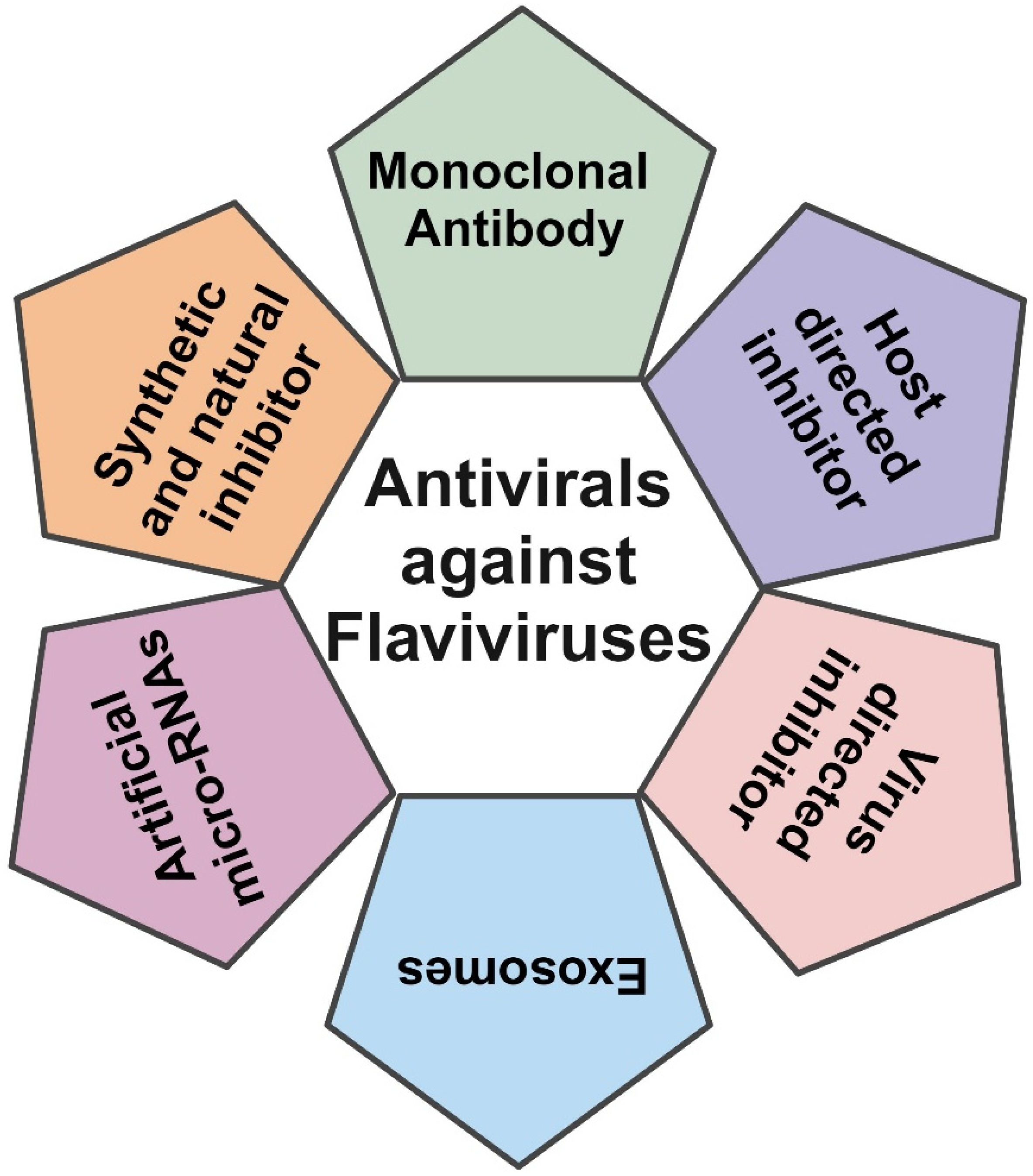 Viruses 17 00074 g002 Viruses 17 00074 g002