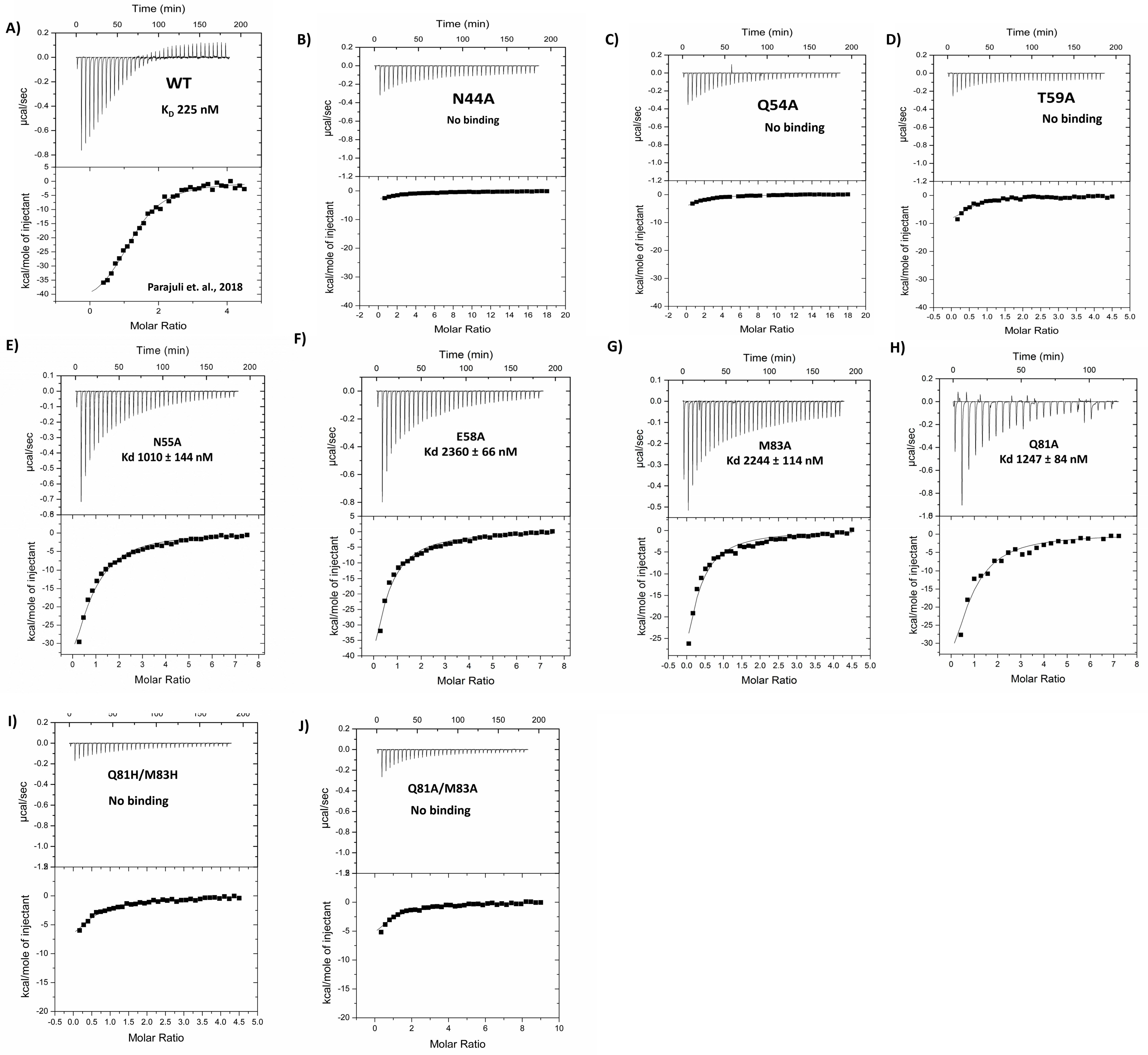 Viruses 17 00082 g003
