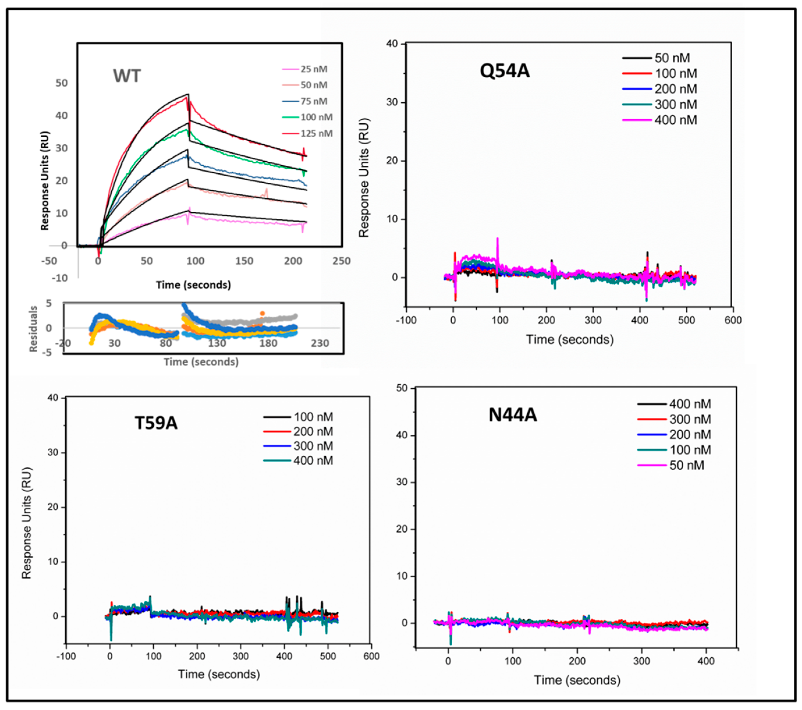Viruses 17 00082 g004
