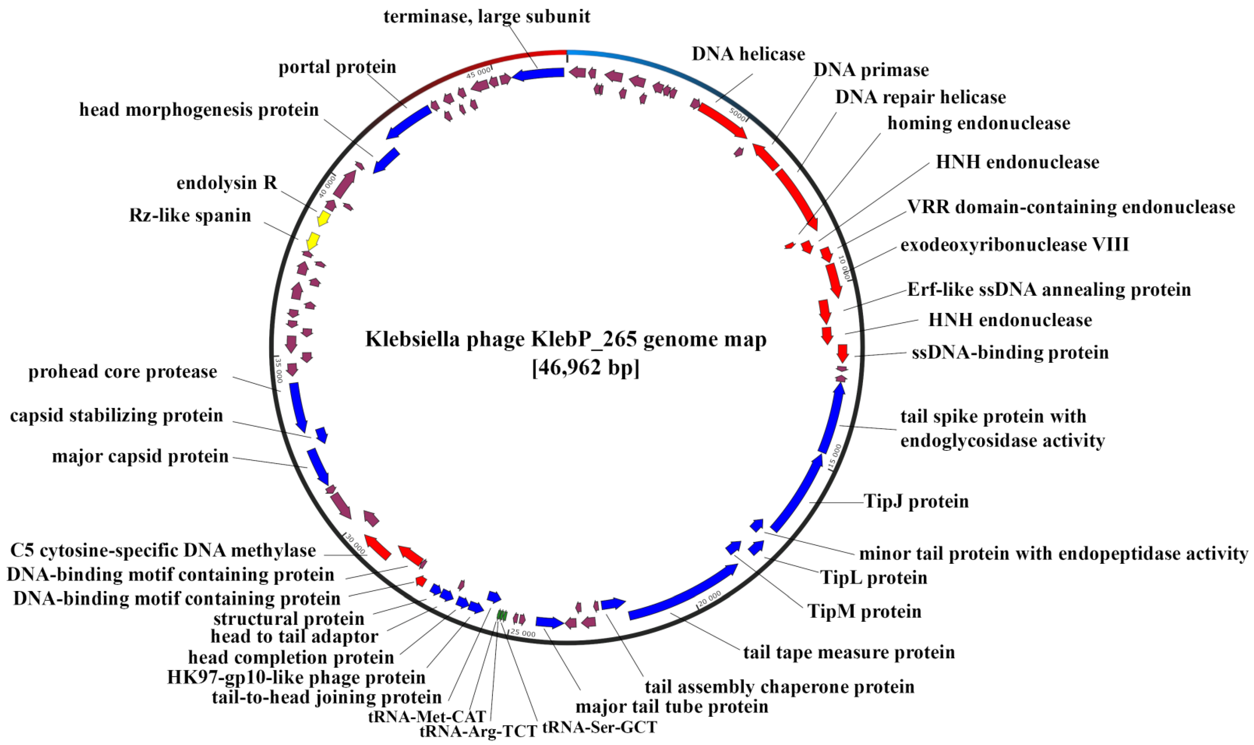 Viruses 17 00083 g004