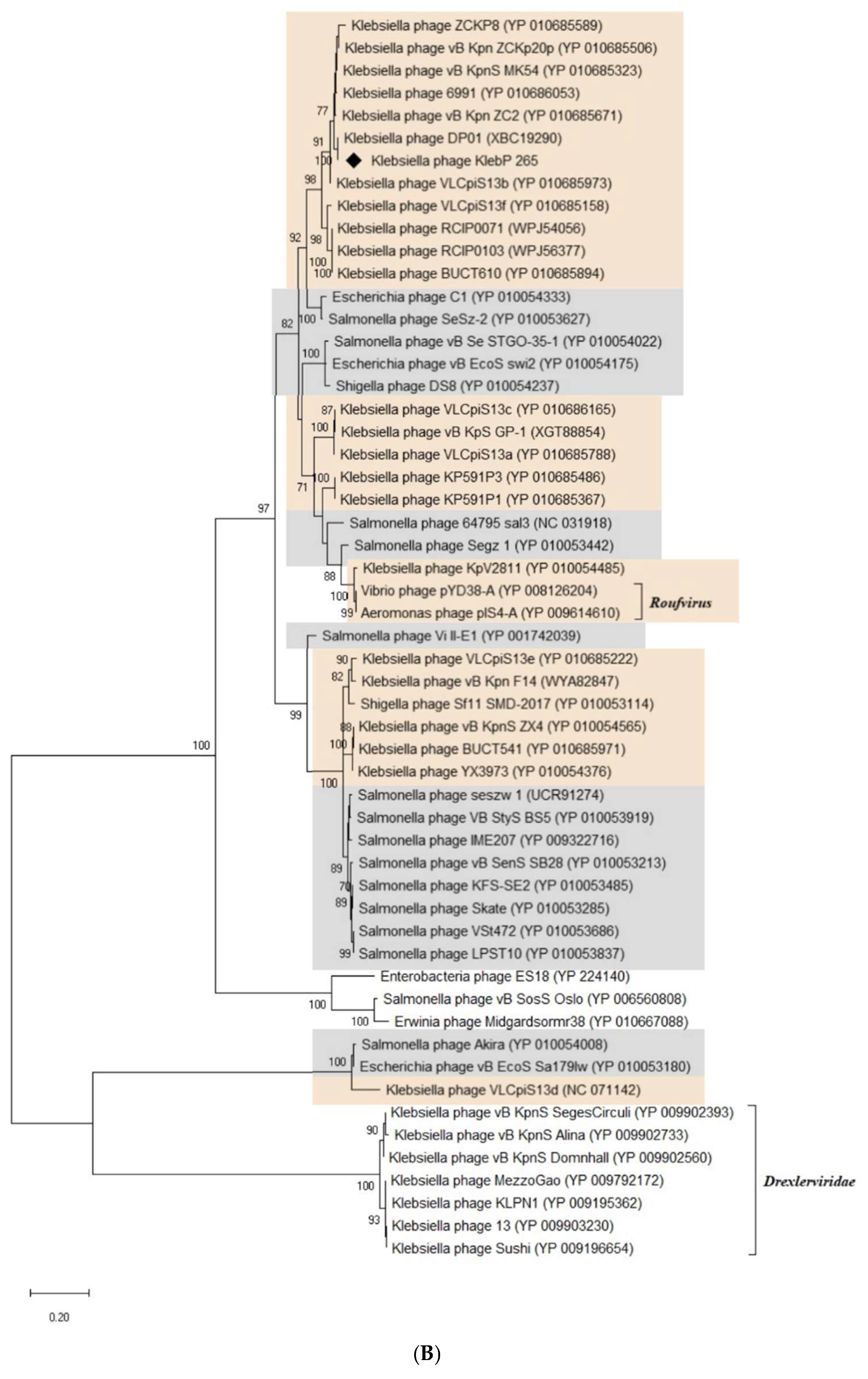 Viruses 17 00083 g008b