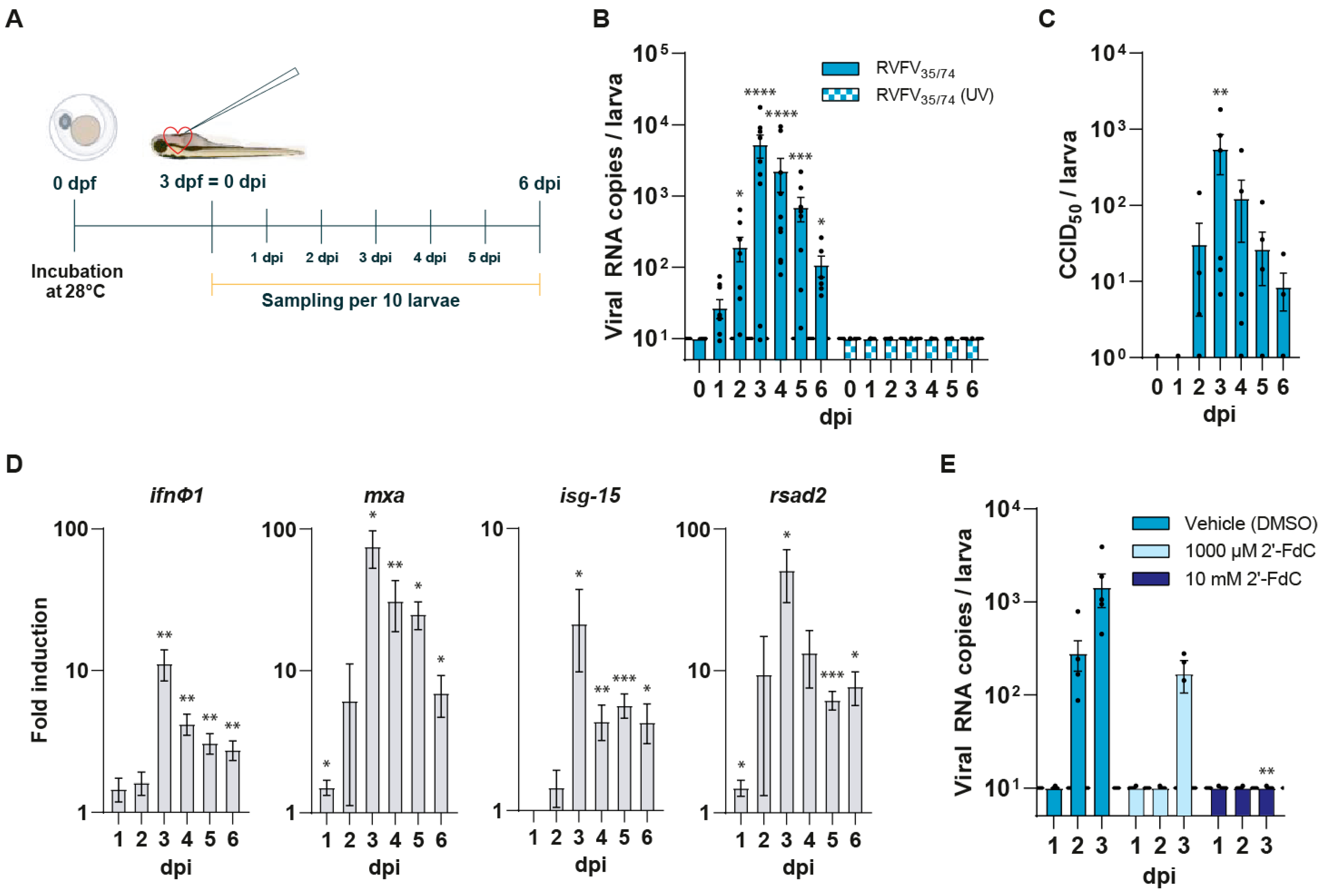 Viruses 17 00087 g001