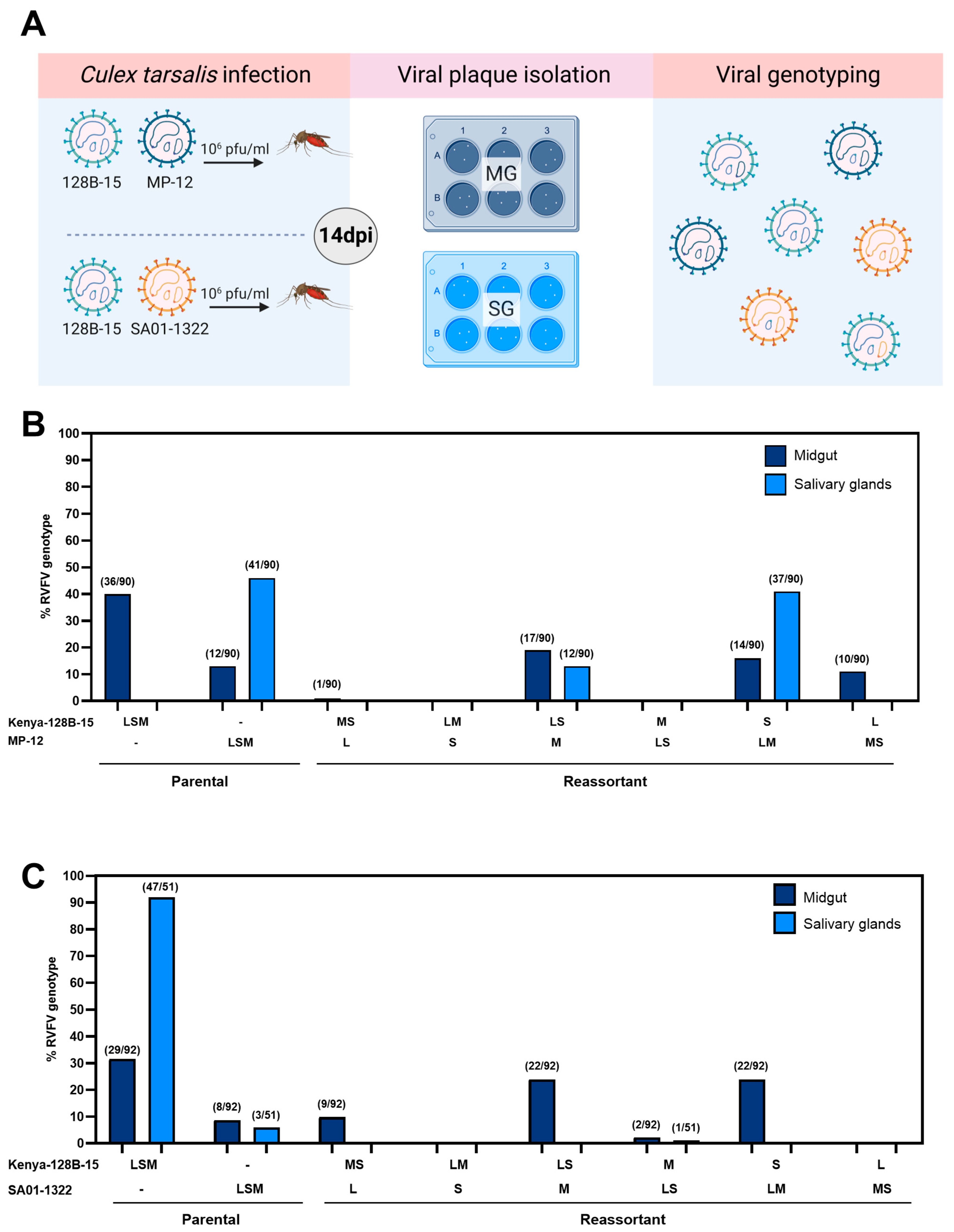 Viruses 17 00088 g002
