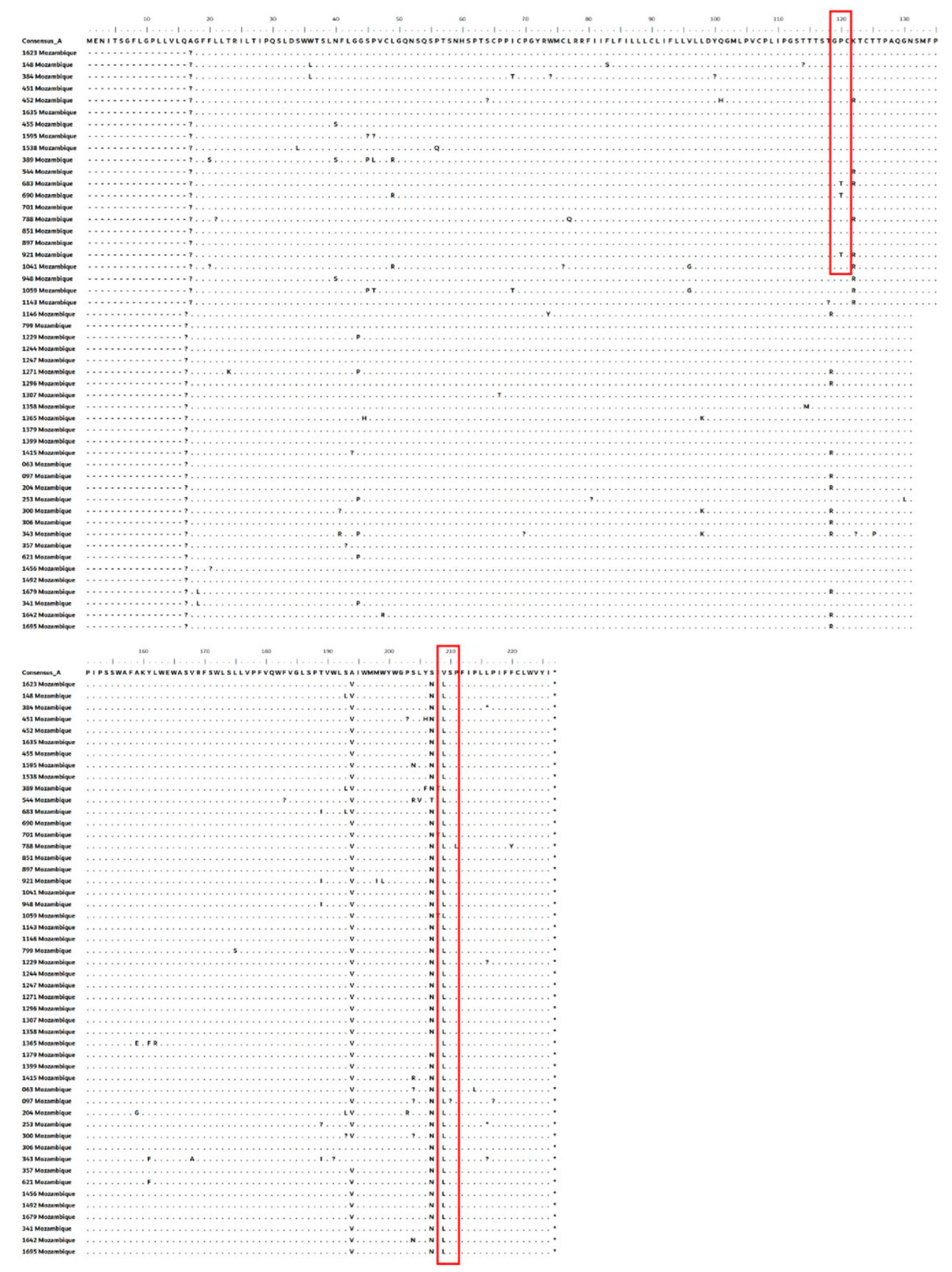 Viruses 17 00094 g003