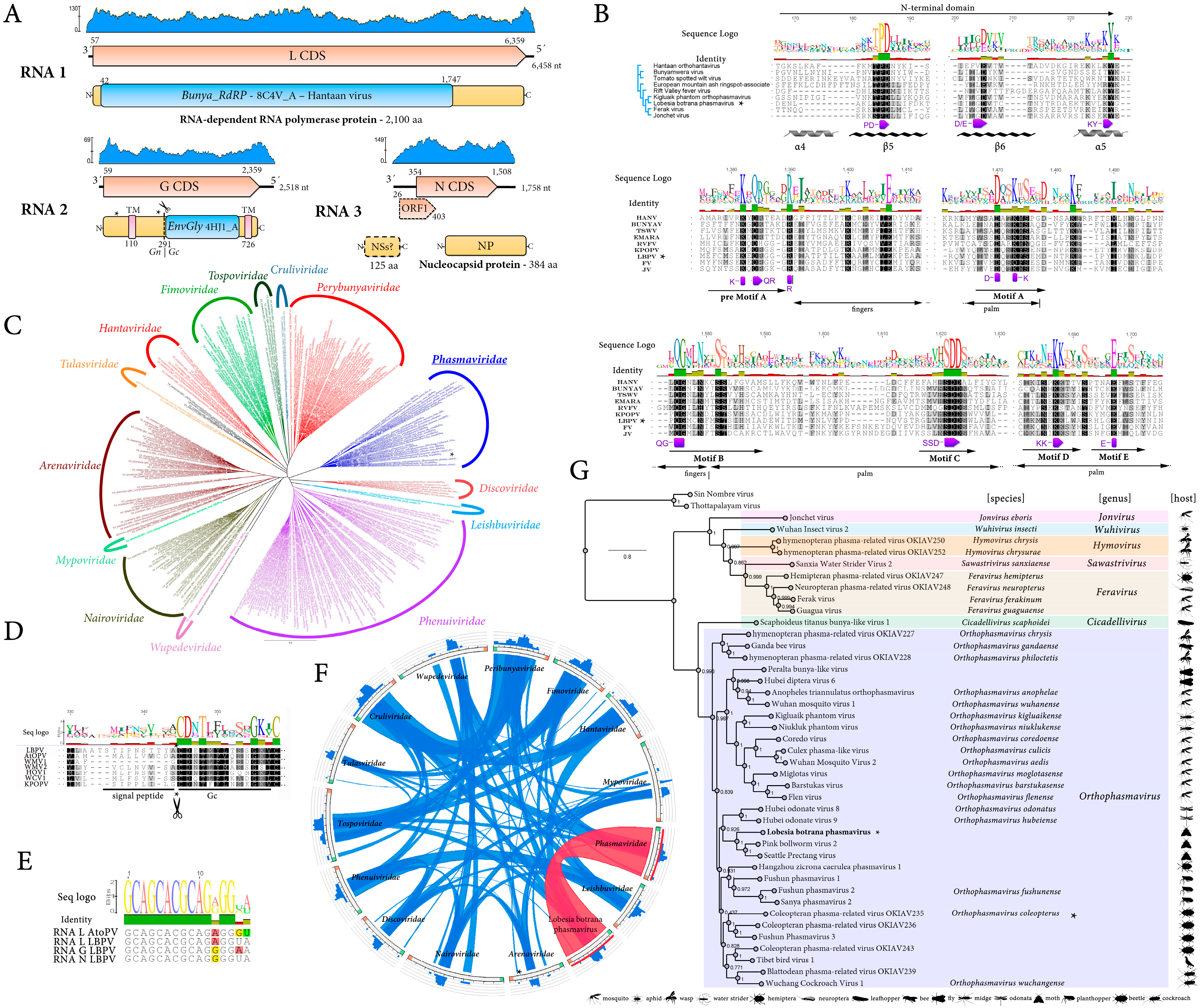 Viruses 17 00095 g001