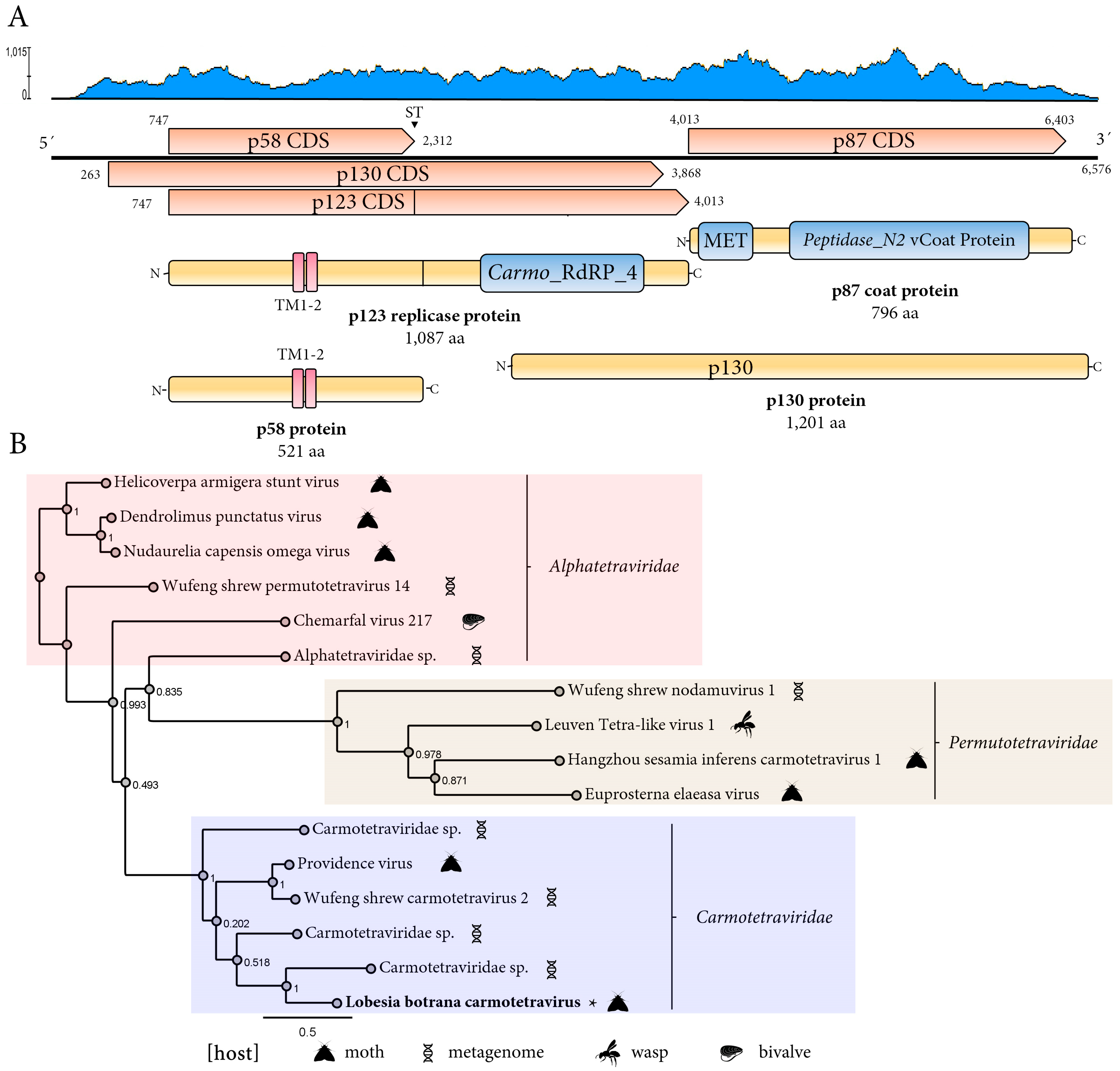 Viruses 17 00095 g002