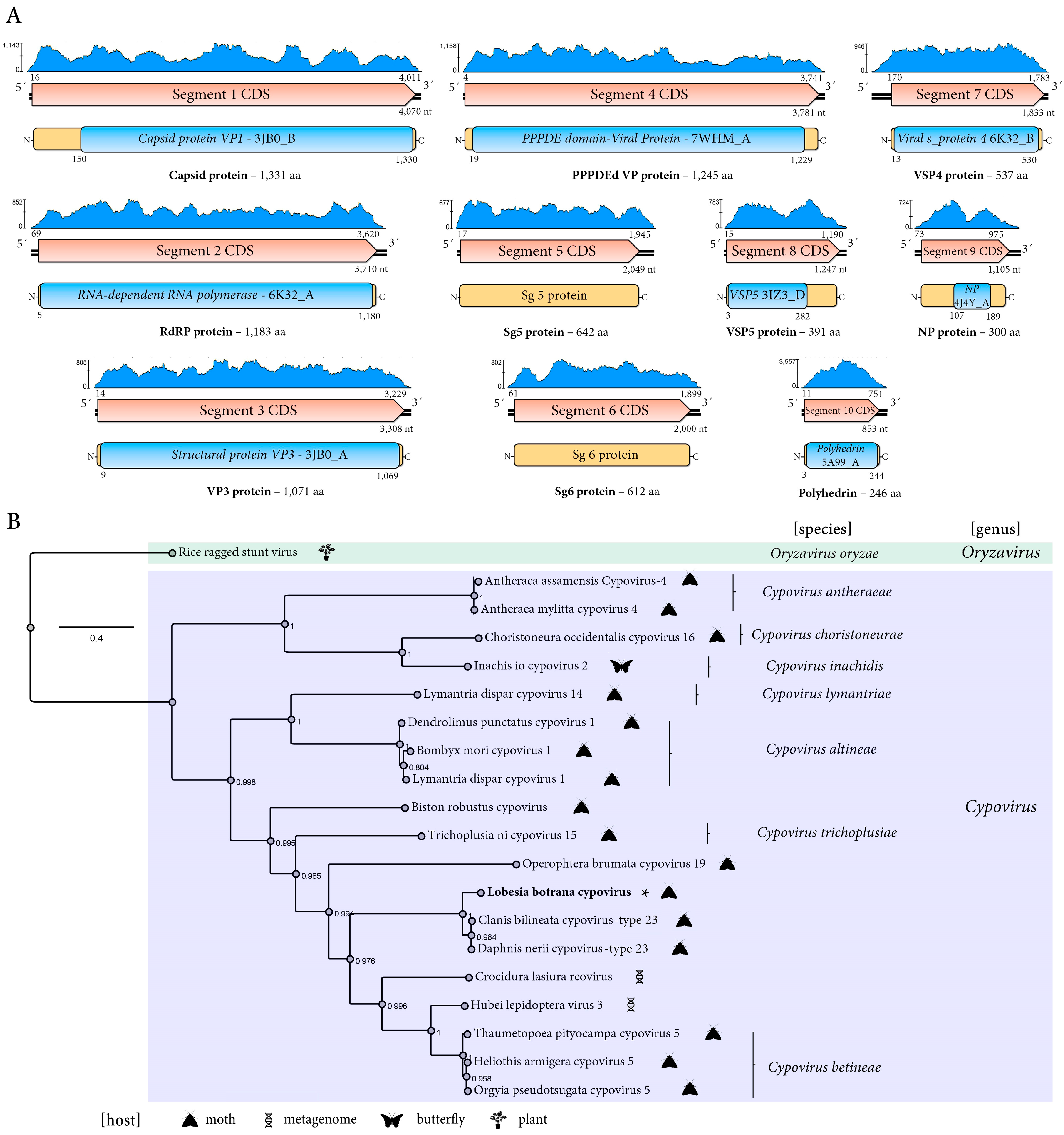 Viruses 17 00095 g003