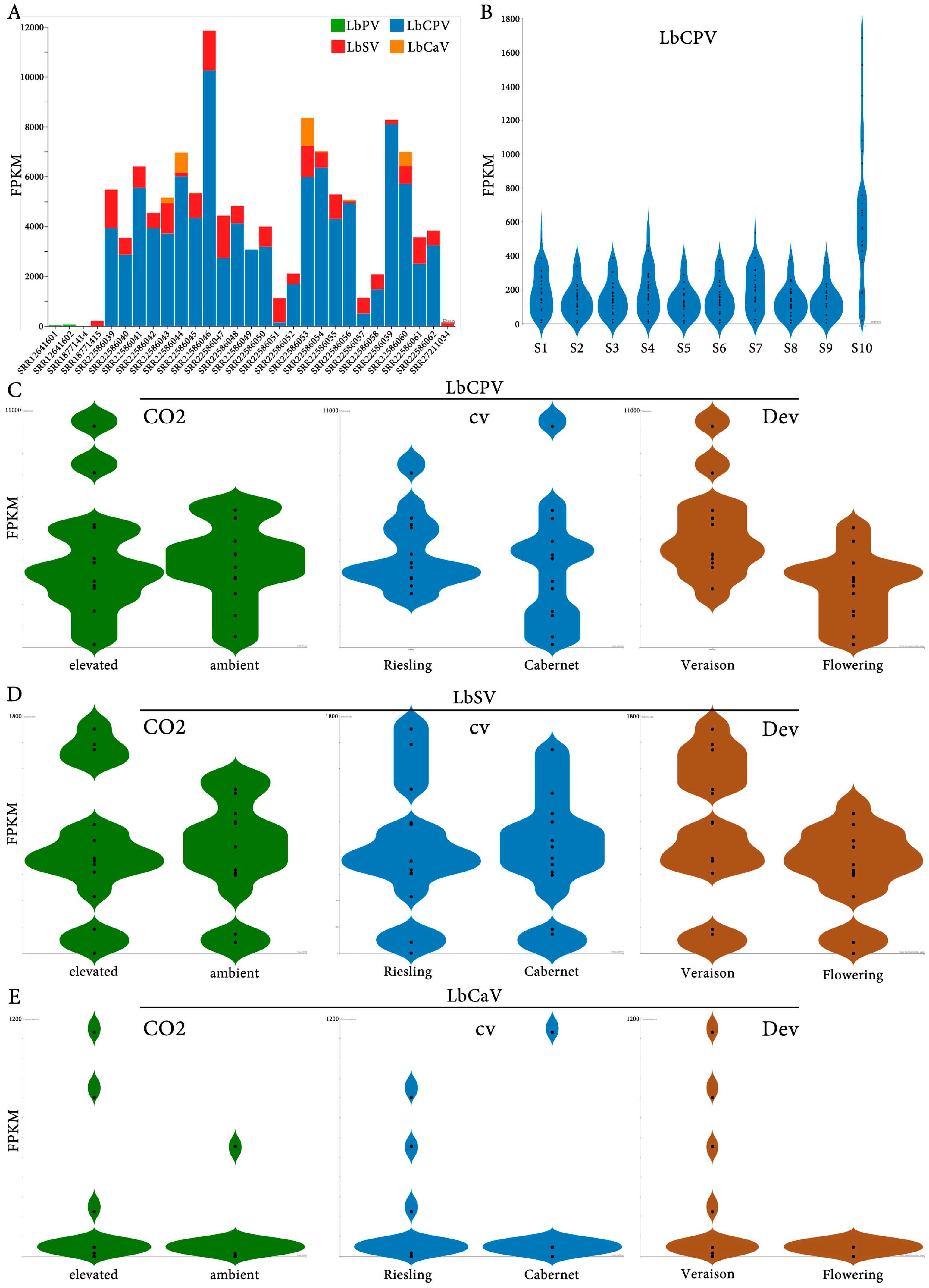 Viruses 17 00095 g005