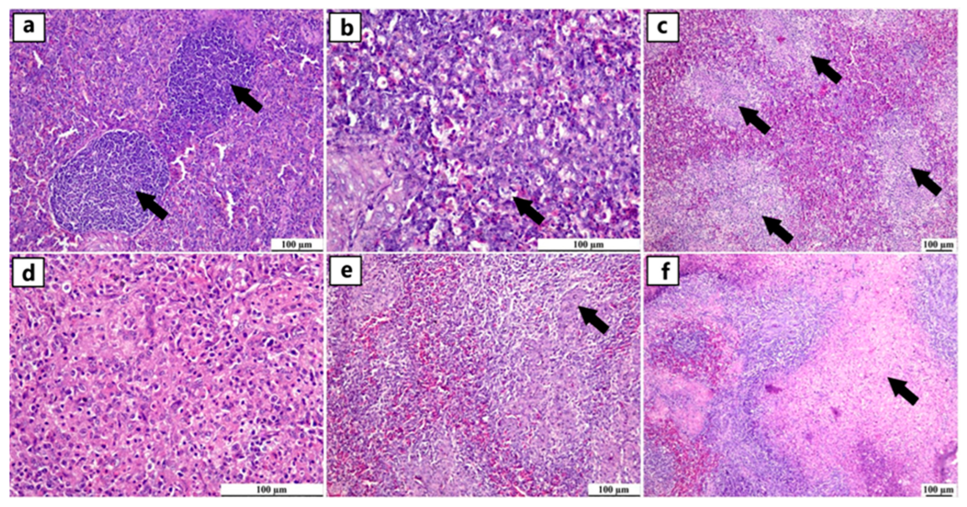Viruses 17 00096 g003 Viruses 17 00096 g003