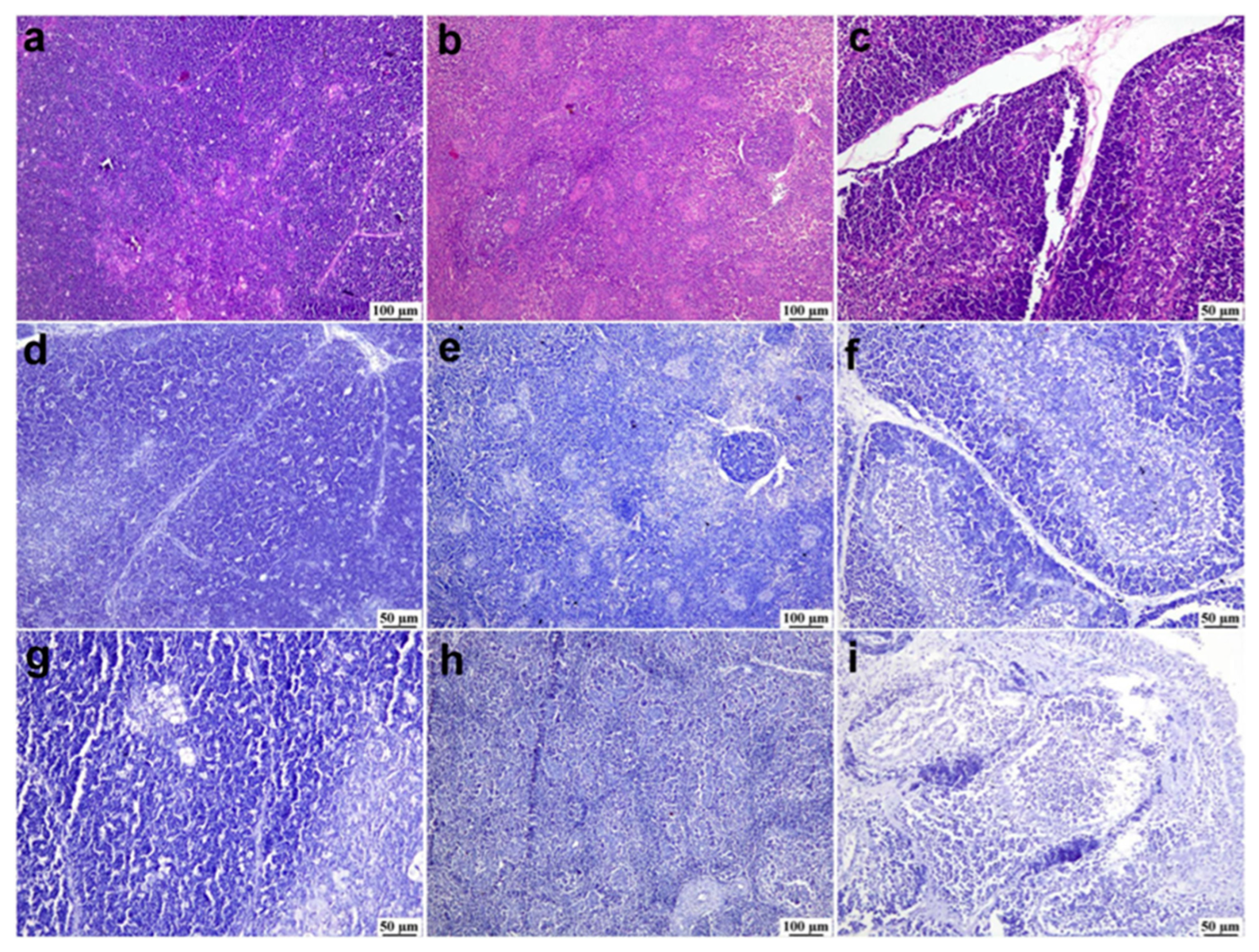 Viruses 17 00096 g006 Viruses 17 00096 g006
