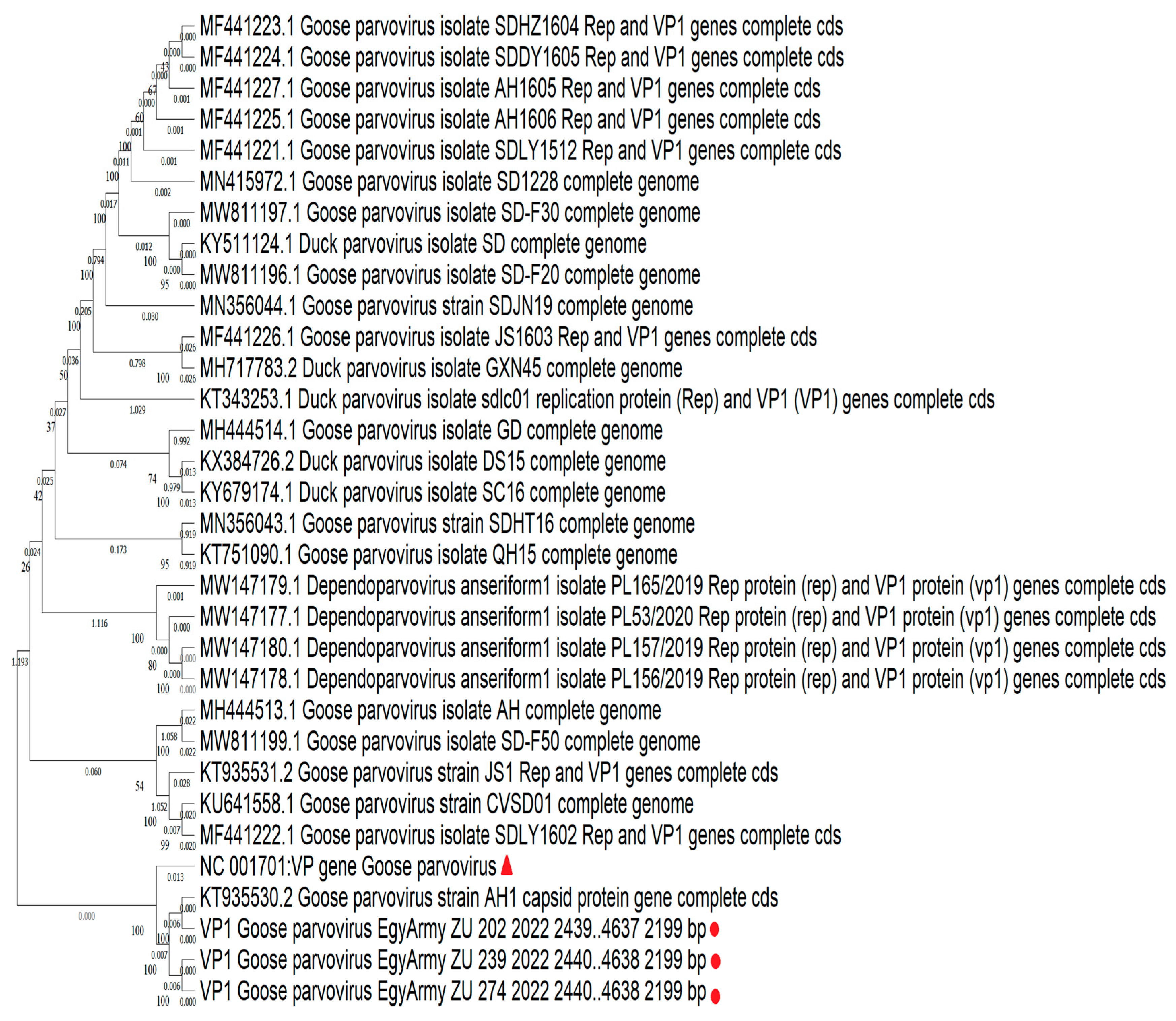 Viruses 17 00096 g011 Viruses 17 00096 g011