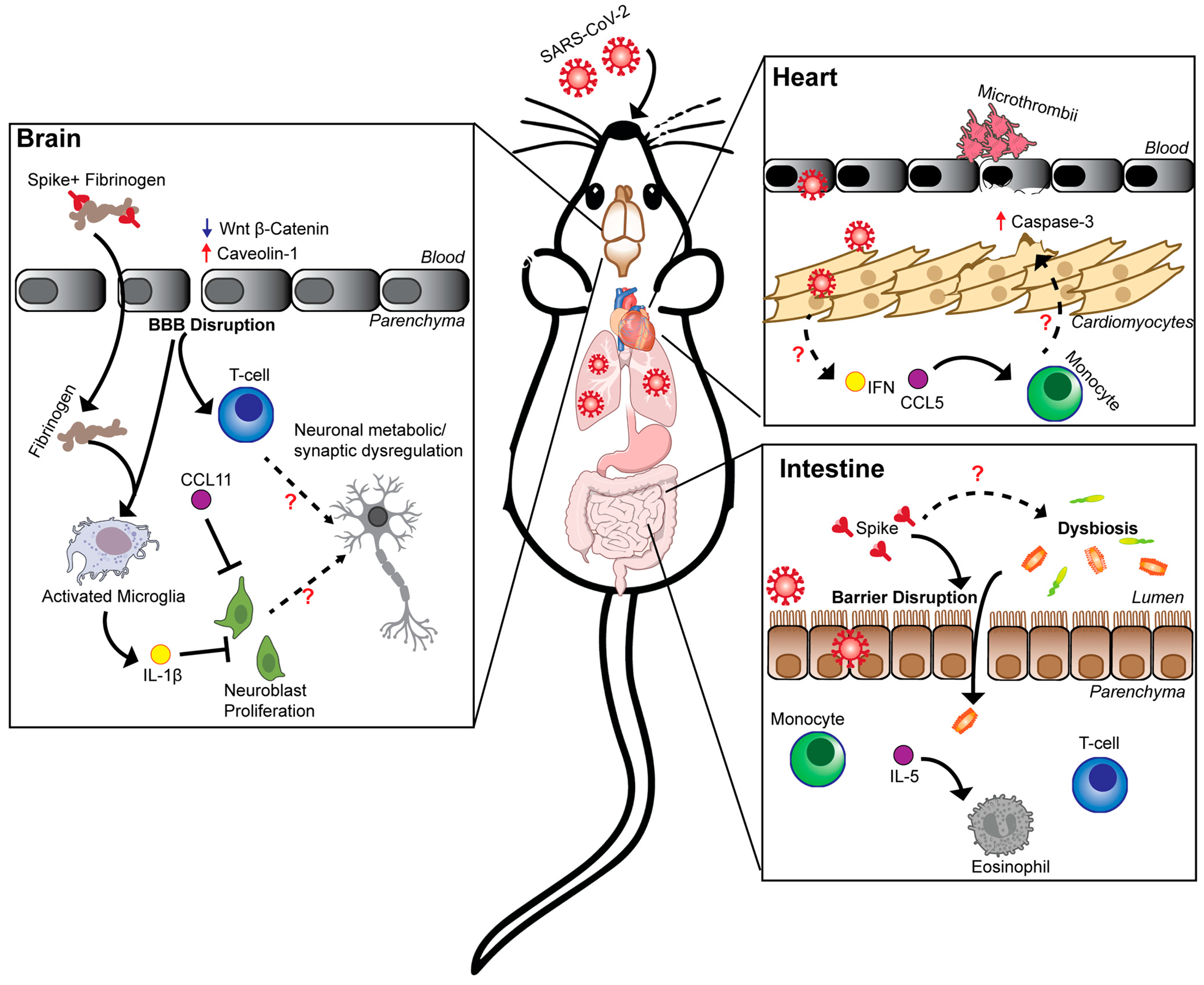 Viruses 17 00098 g001