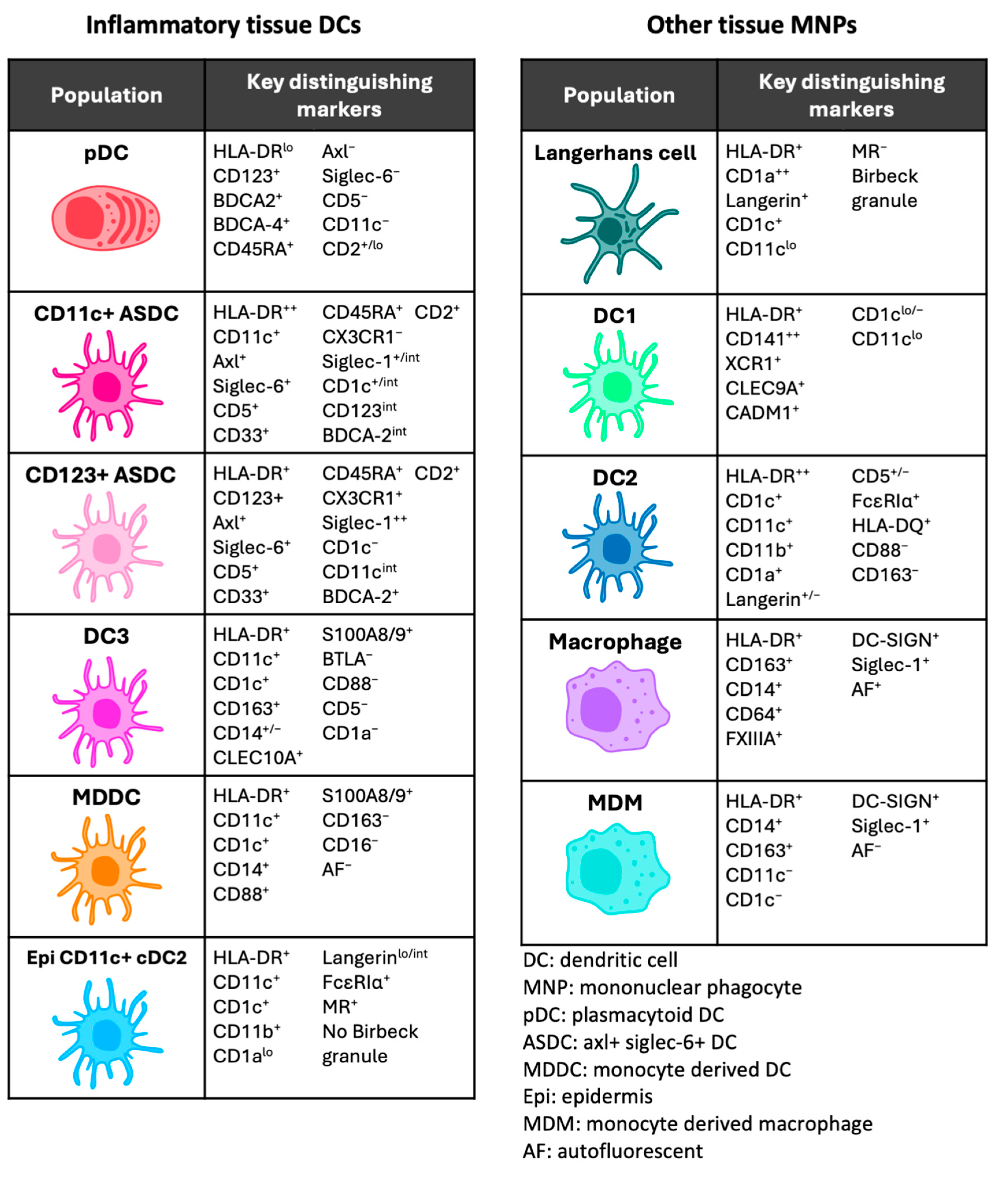 Viruses 17 00105 g003