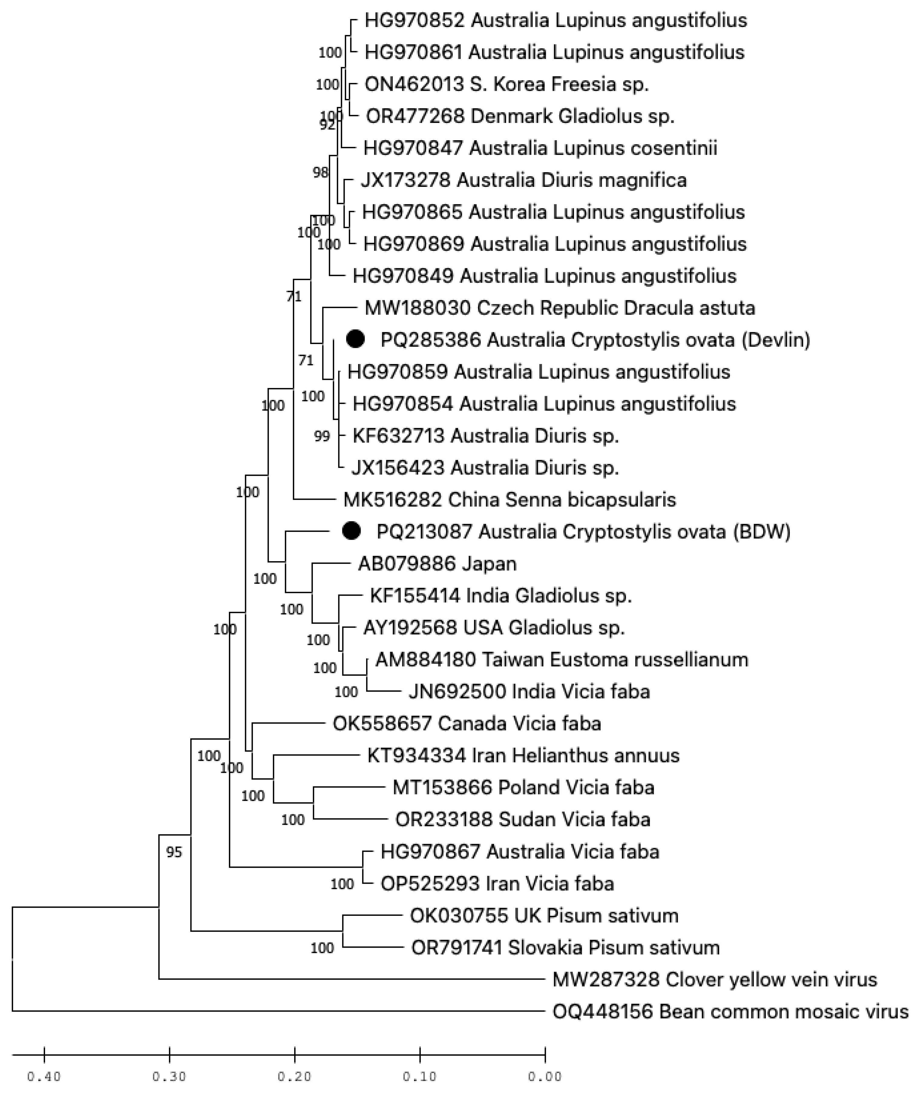 Viruses 17 00108 g002
