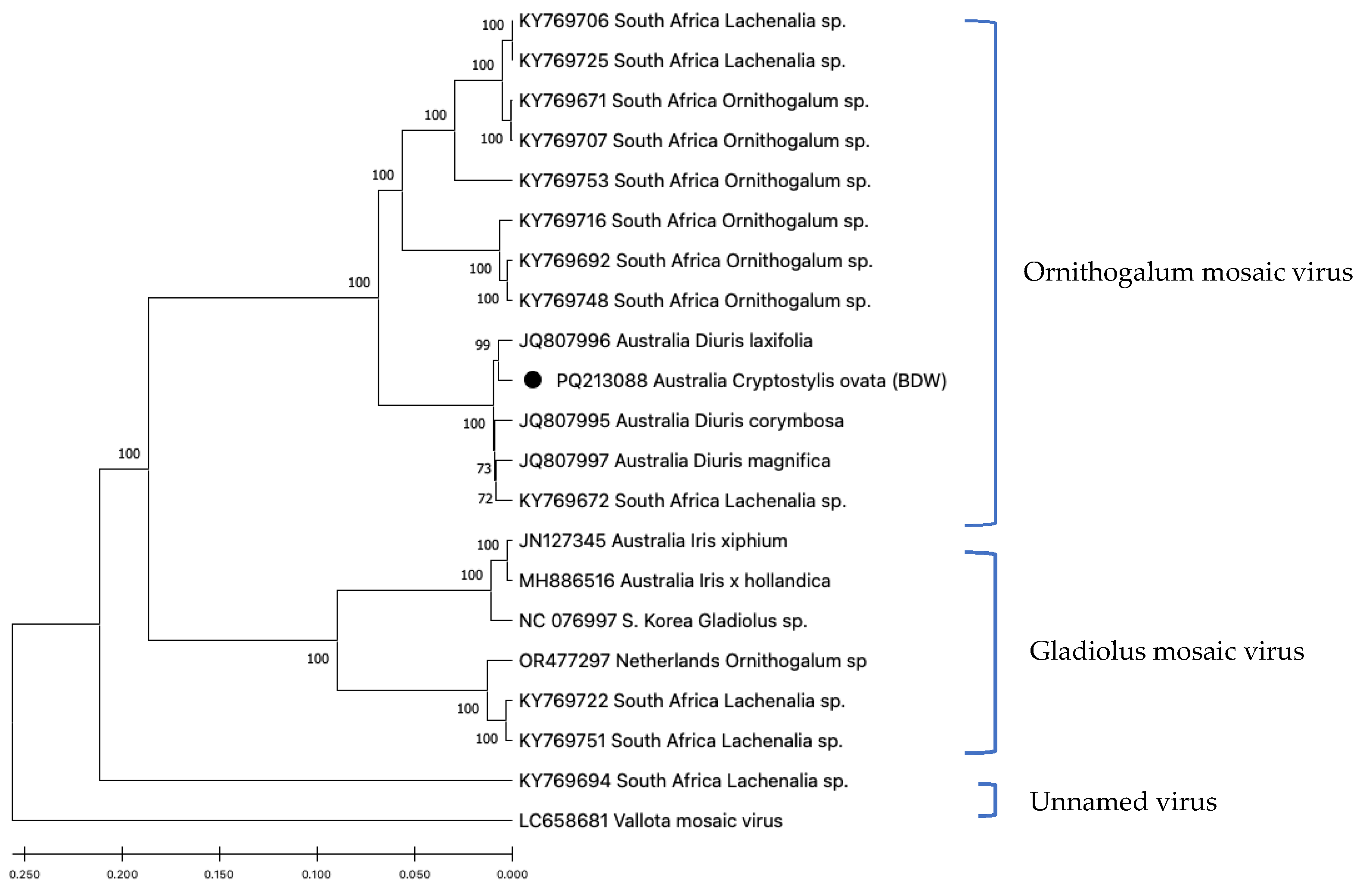 Viruses 17 00108 g003