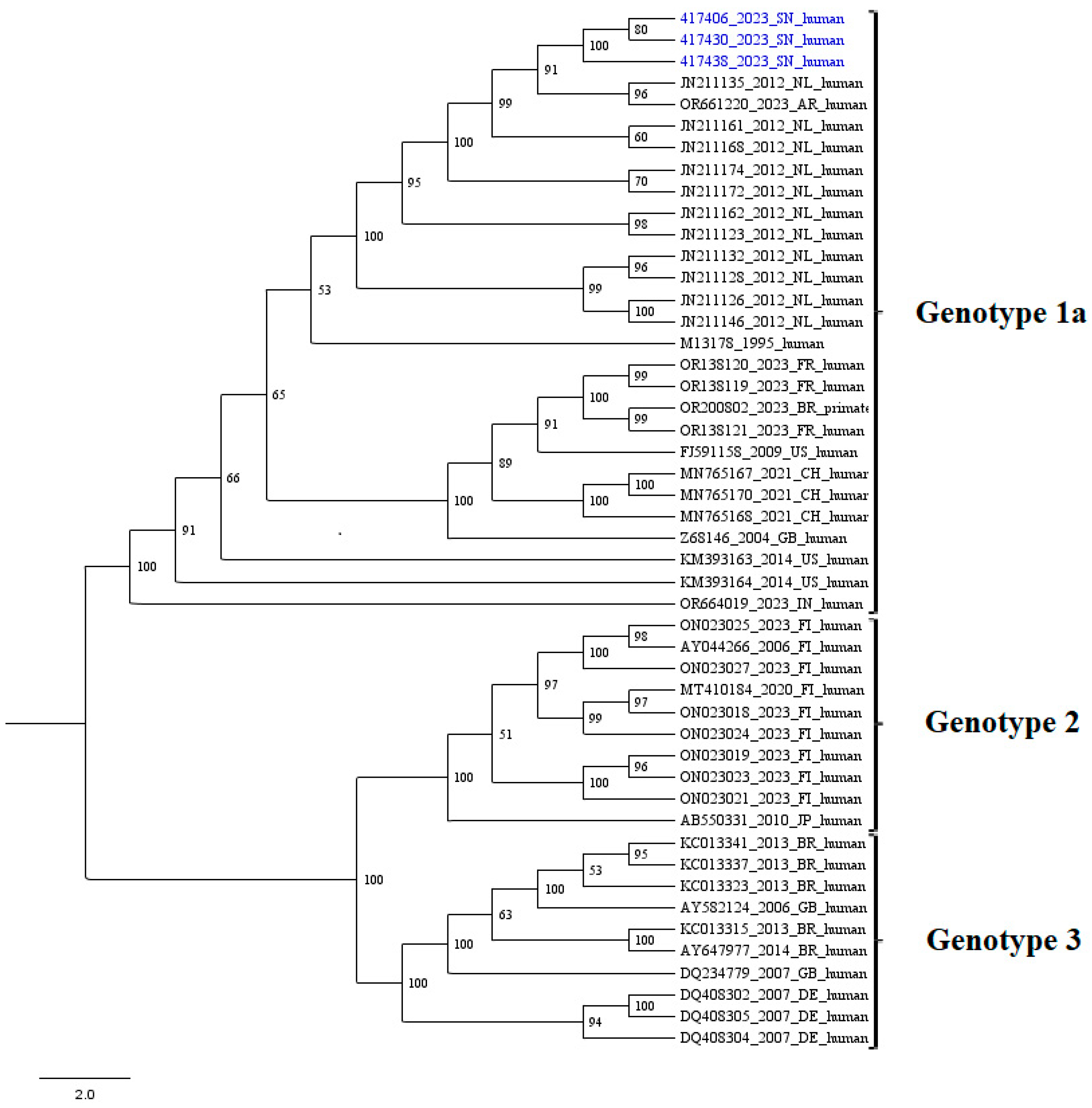 Viruses 17 00111 g001