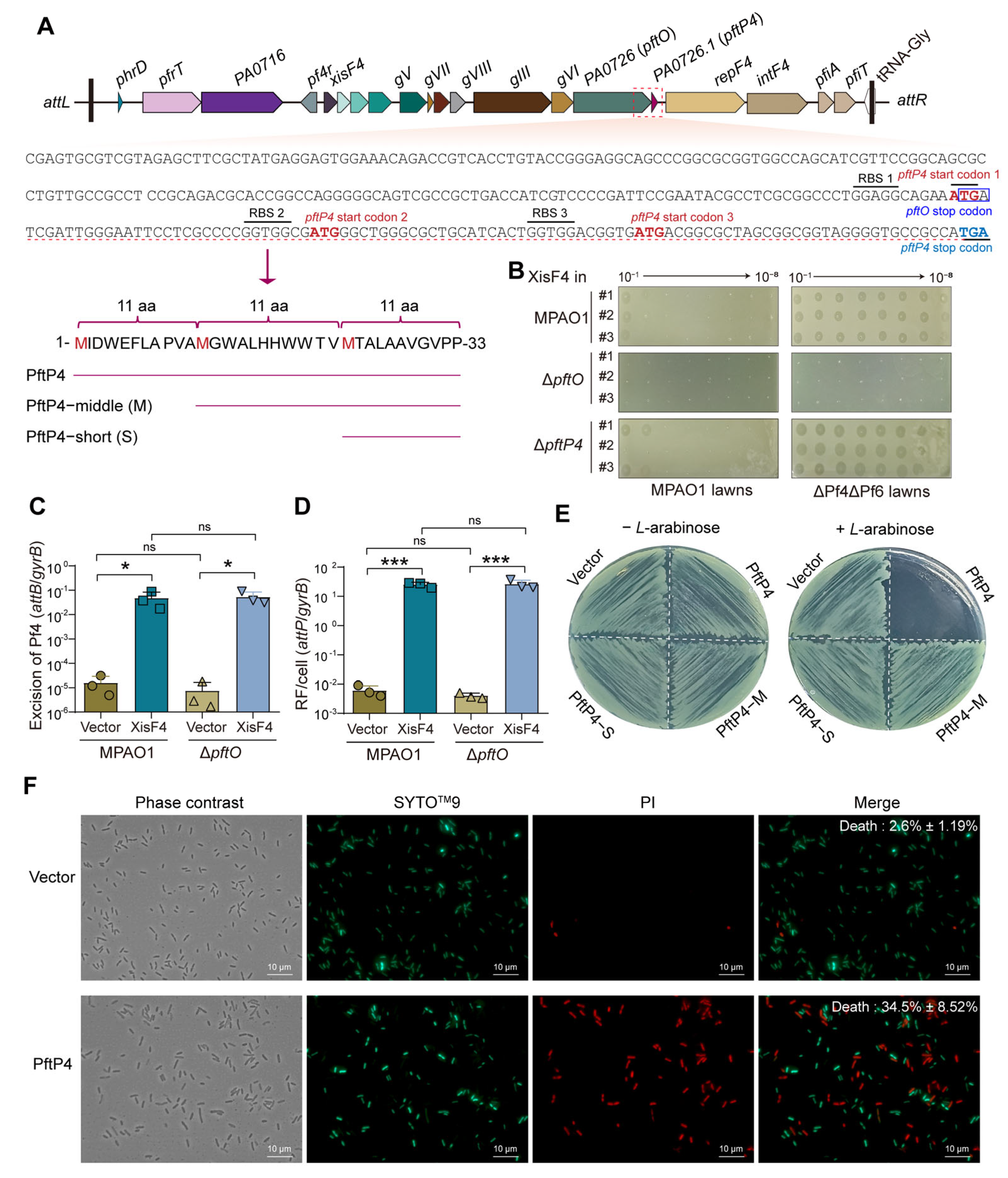 Viruses 17 00112 g001