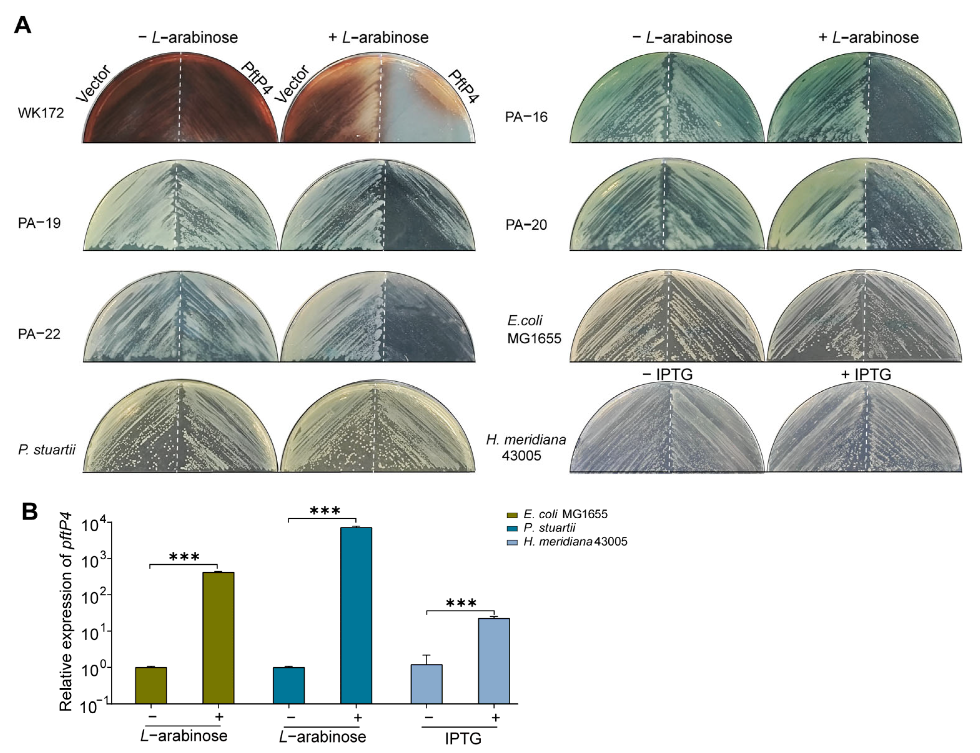Viruses 17 00112 g003