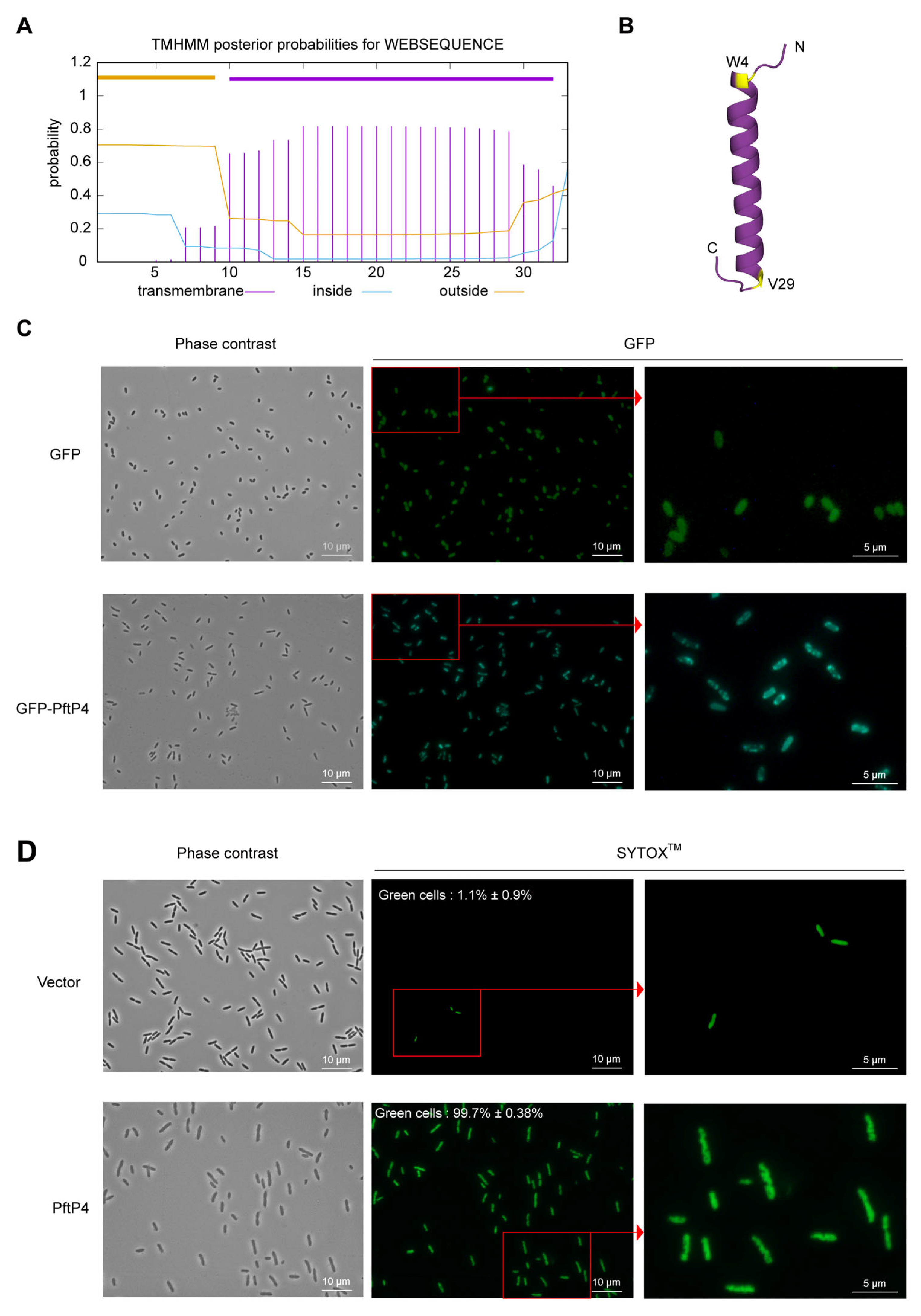 Viruses 17 00112 g004