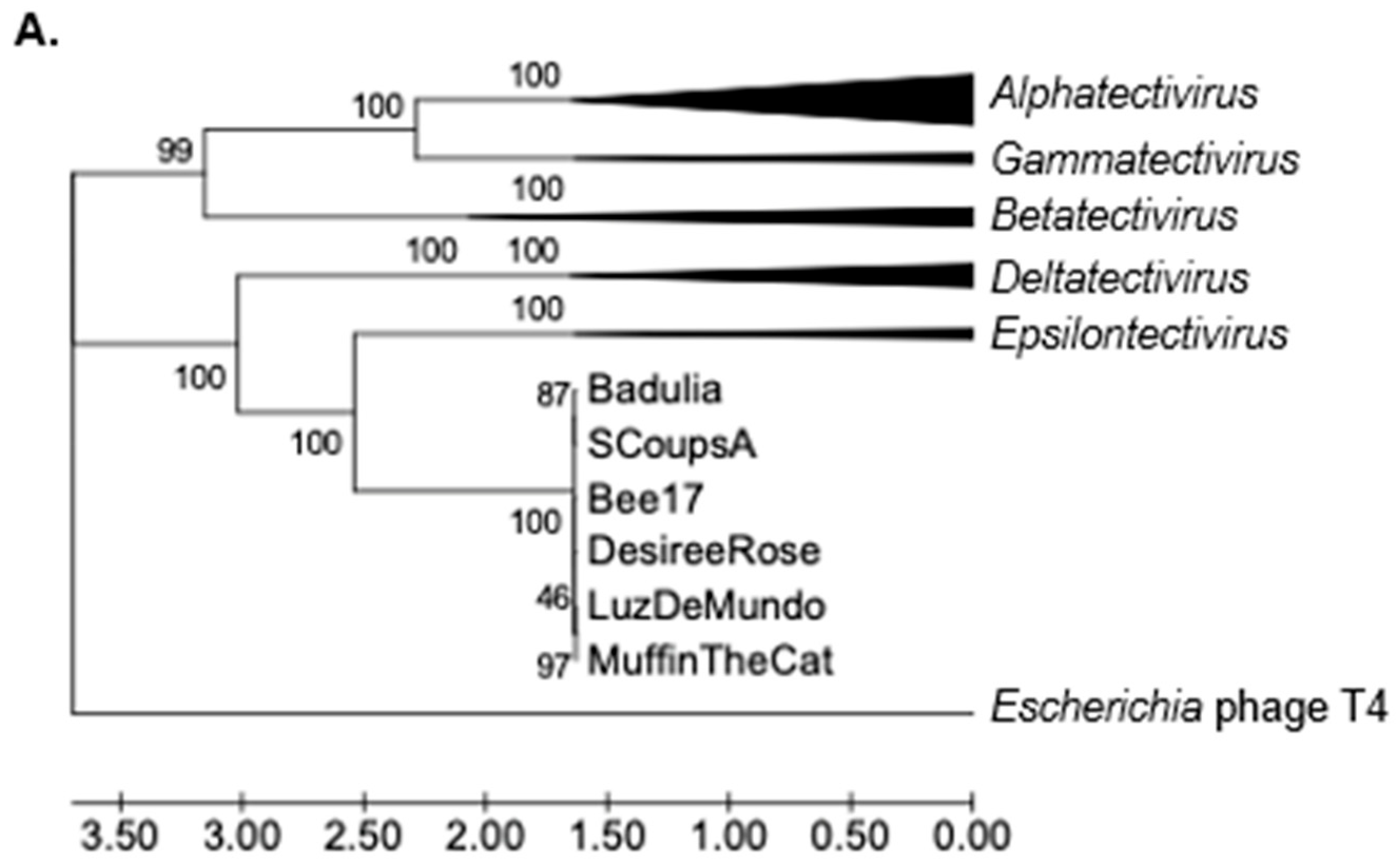 Viruses 17 00113 g008a