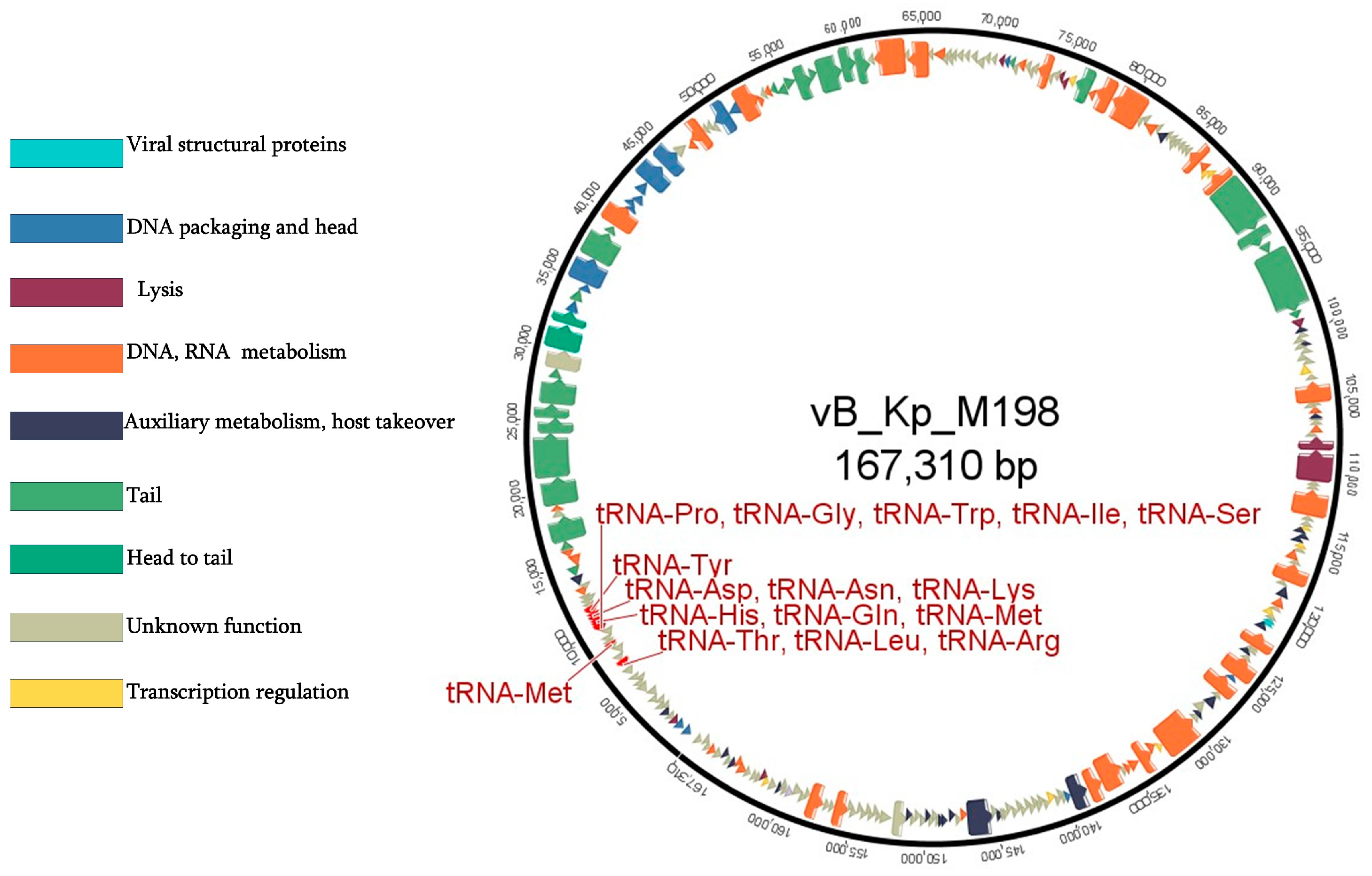 Viruses 17 00115 g004