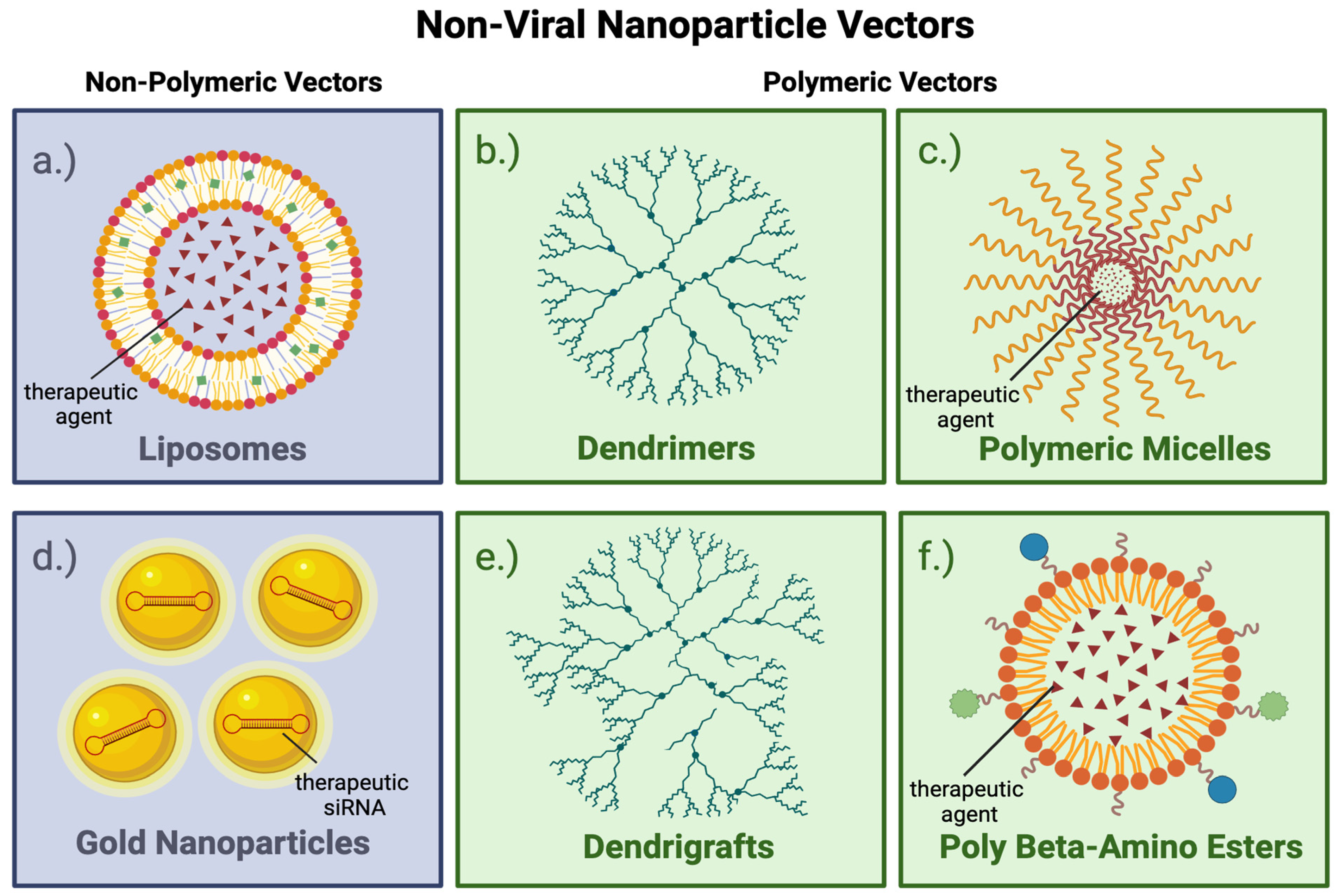Viruses 17 00118 g004