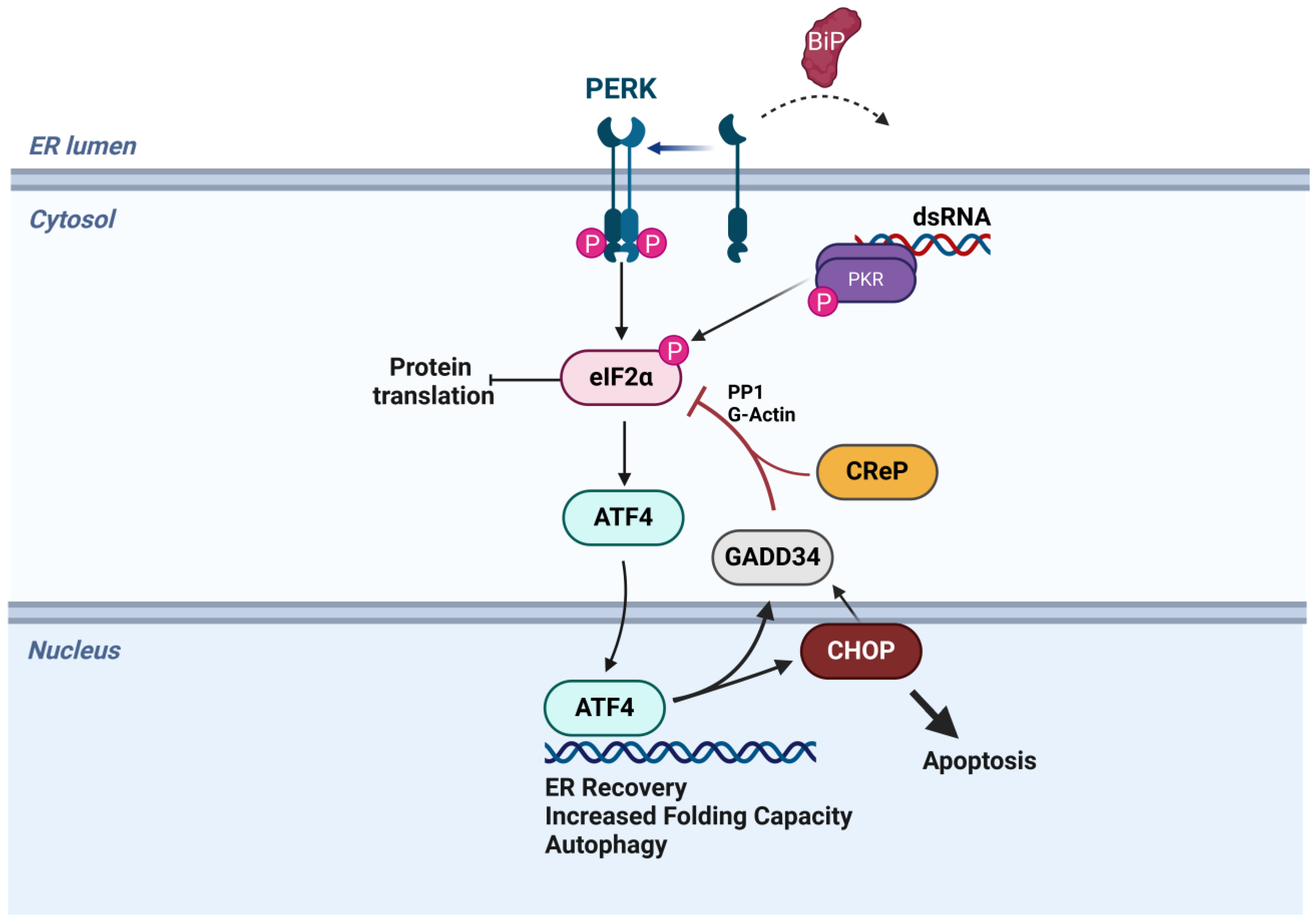 Viruses 17 00120 g001