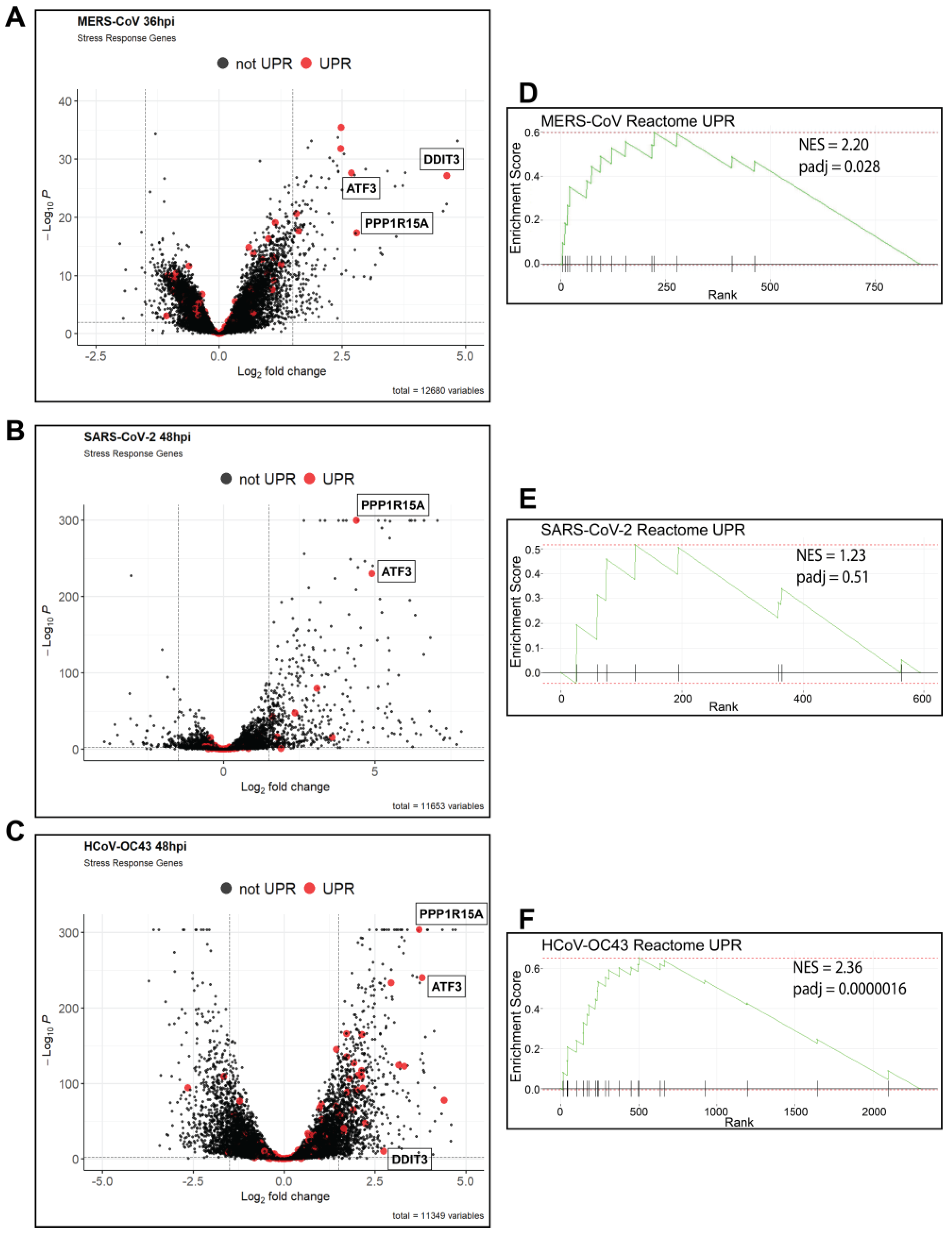 Viruses 17 00120 g002
